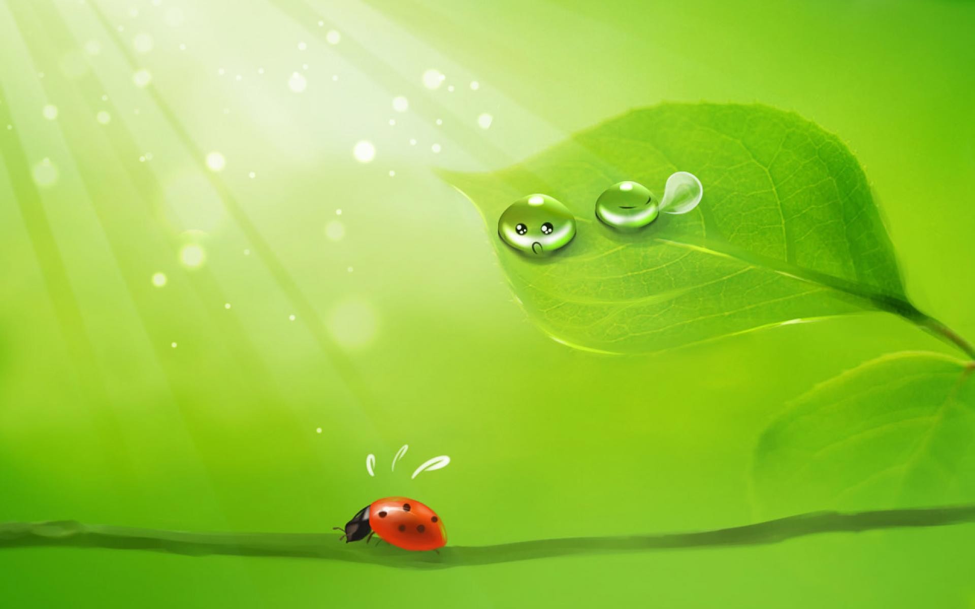 Coccinella, Foglia, Gocce d'acqua, Verde, Full HD, sfondo desktop