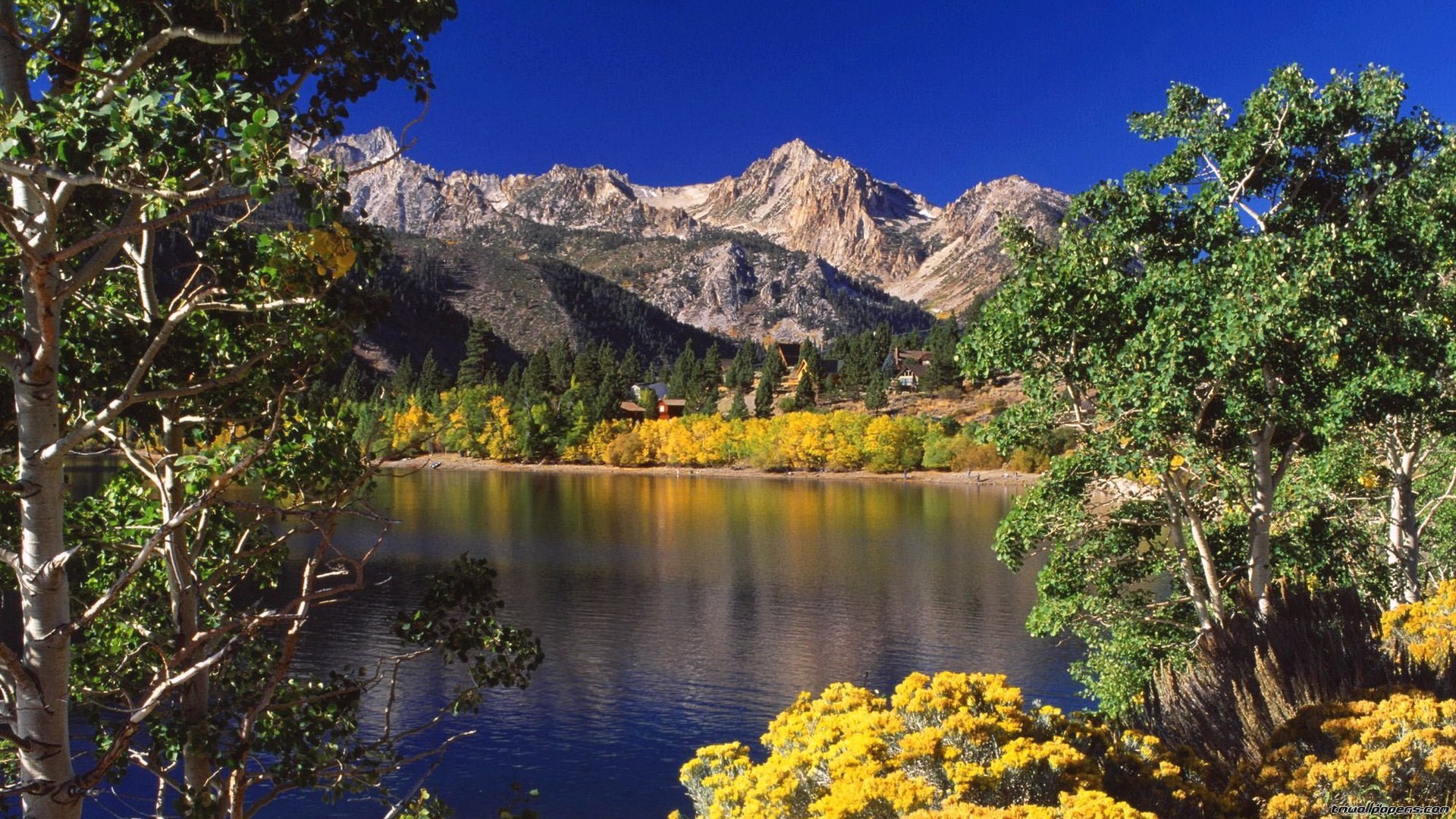 Lago di montagna, Montagne, Alberi, Fiori gialli, Paesaggio, Cielo azzurro, sfondo Full HD per desktop