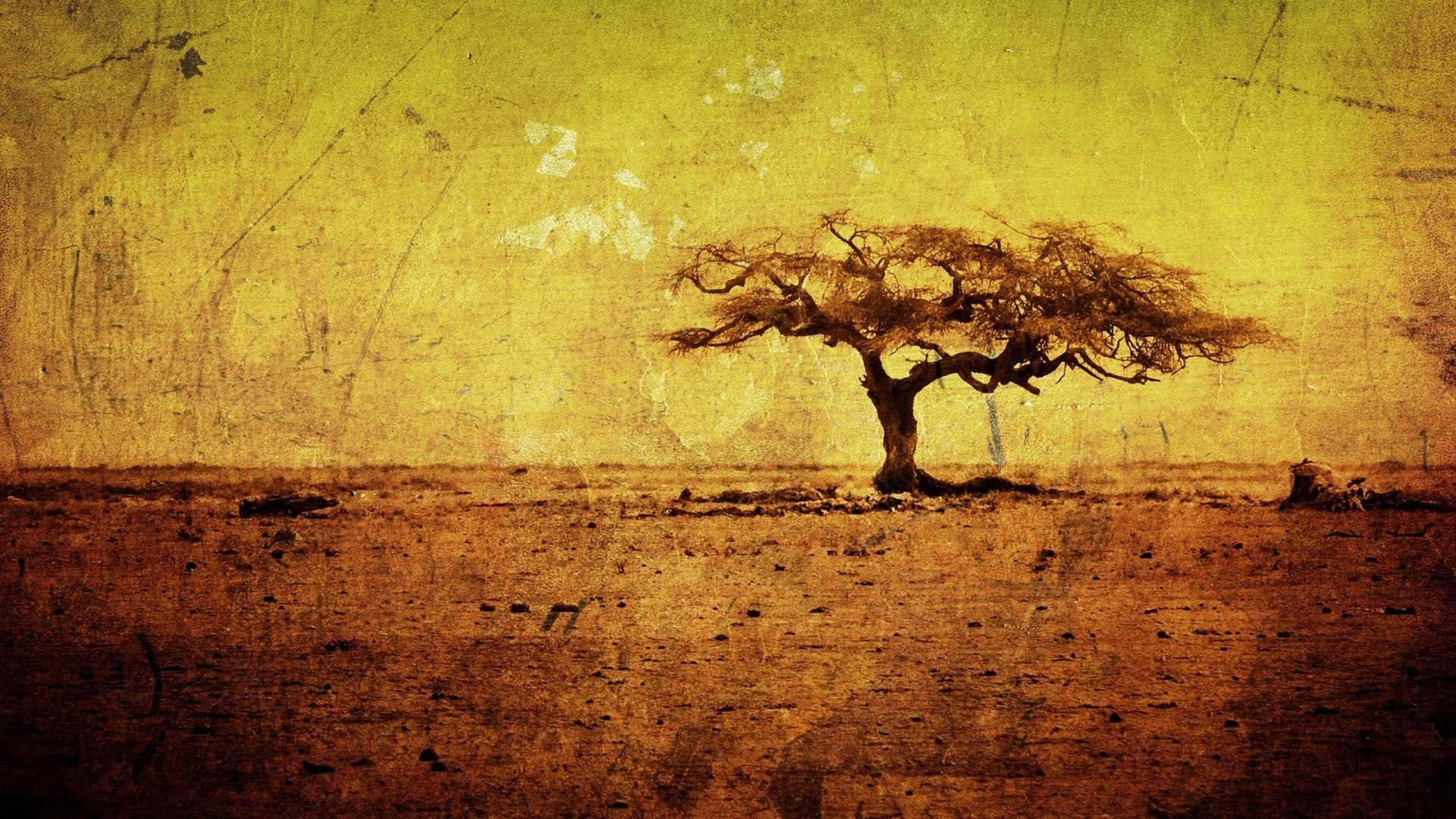 Acacia, Savana, Effetto vintage, Seppia, 1920x1080, immagine di sfondo