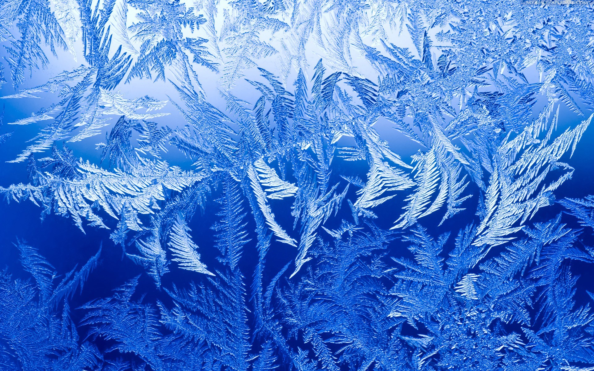 Cristalli di brina, Ghiaccio, Gelo, Blu, Texture, Full HD, wallpaper per computer