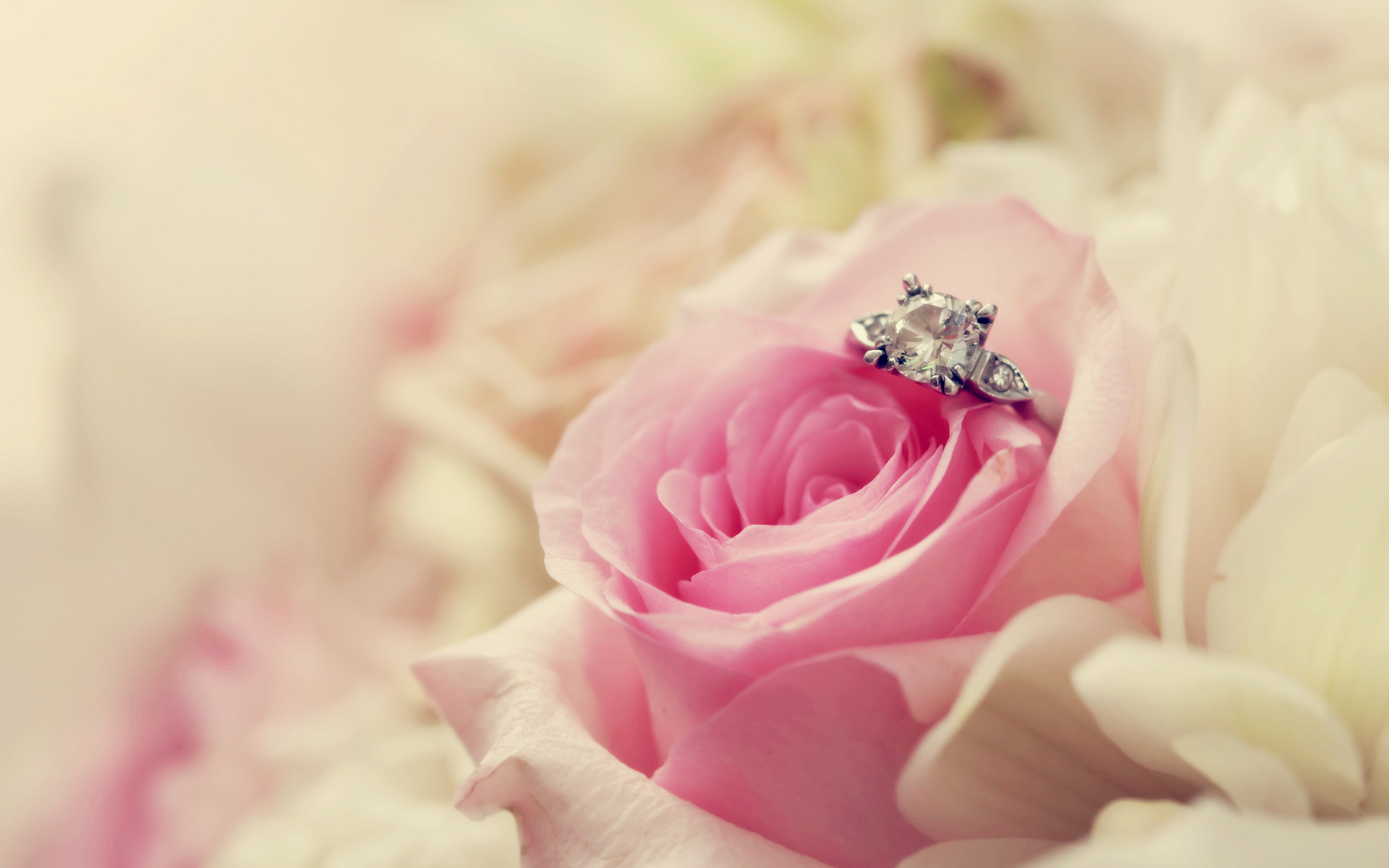 Anello di fidanzamento, Rosa rosa, Diamante, Pastello, 1920x1200, sfondo per PC