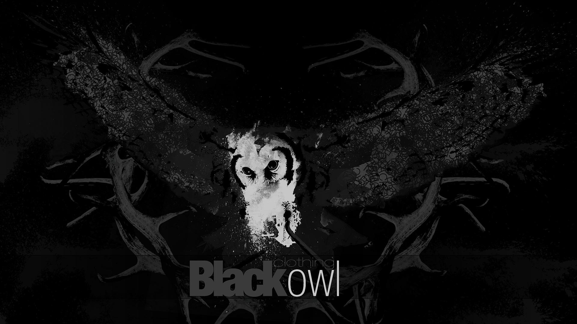 Gufo, Black Owl, Monocromatico, Sfondo nero, 16:9 Full HD, wallpaper widescreen