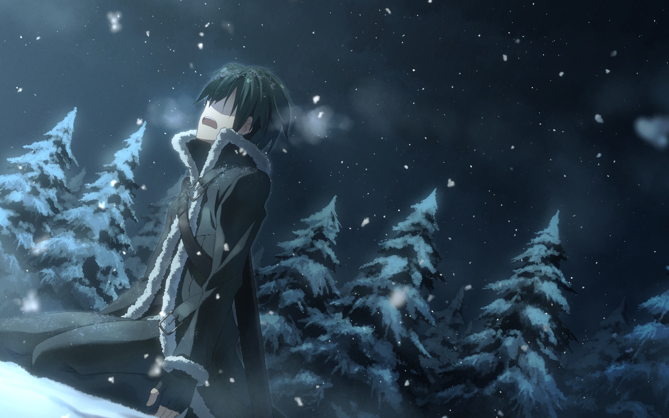 Kirito, Sword Art Online, Foresta innevata, Notte, 2560x1600, immagine di sfondo