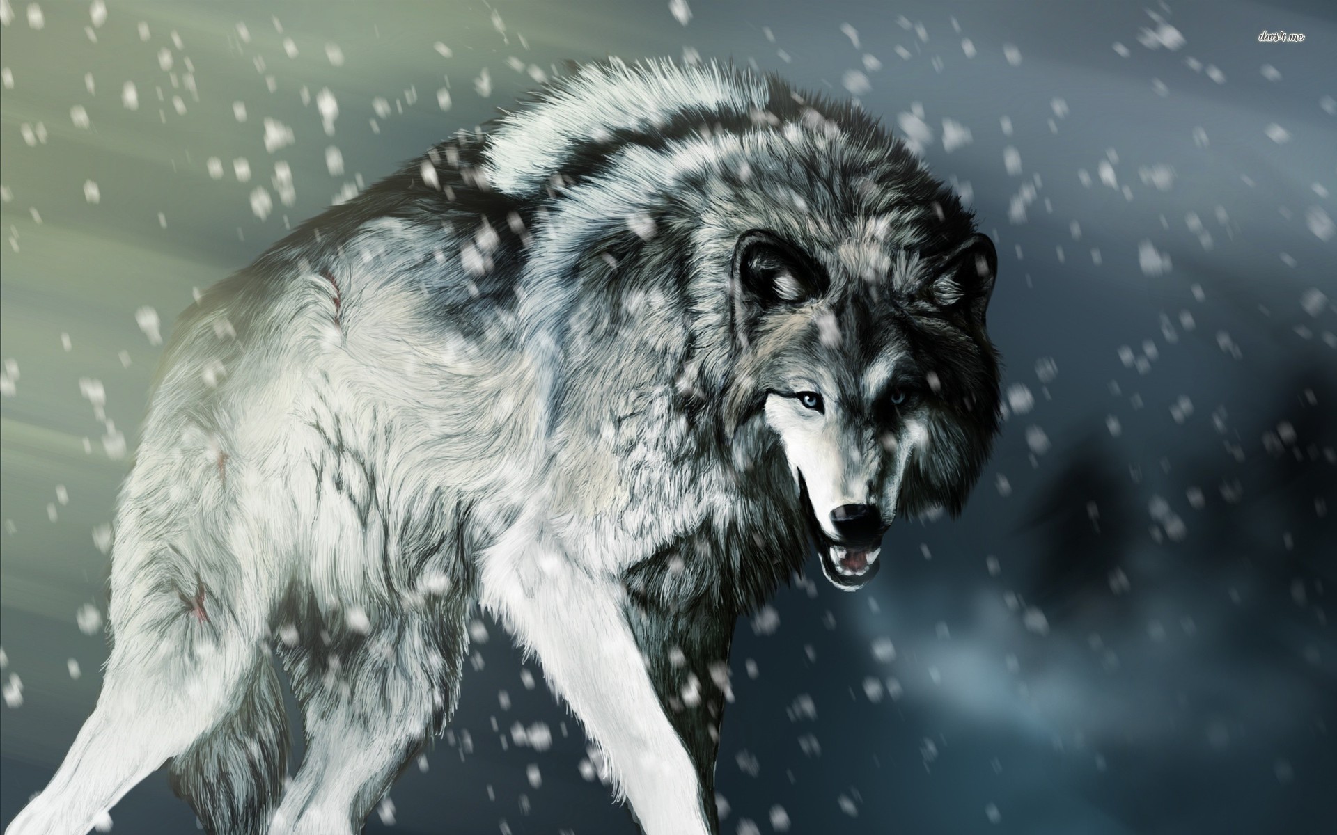 Lupo ringhiante, Neve, Pittura digitale, Inverno, Full HD, wallpaper per portatile