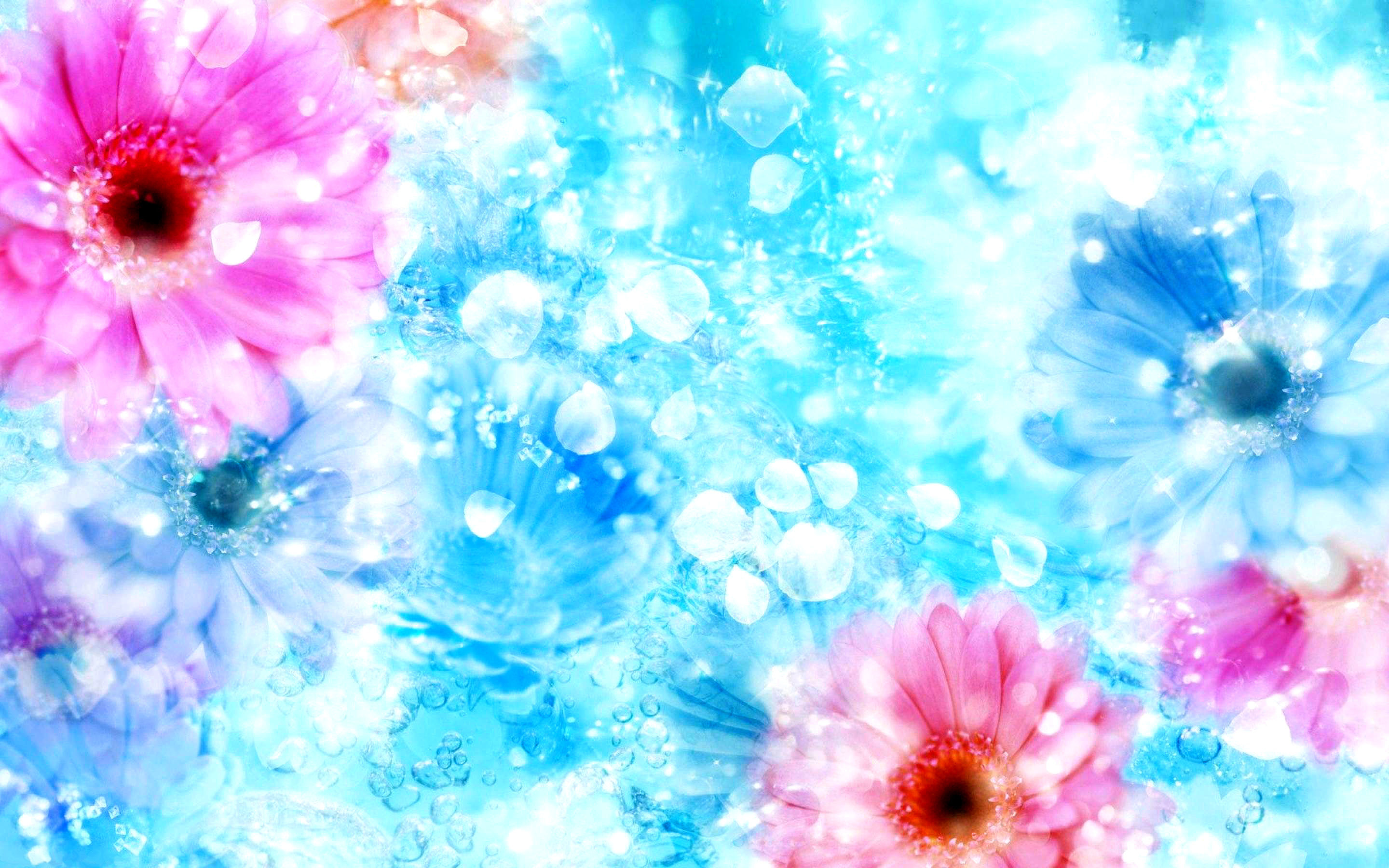 Fiori, Gerbere, Azzurro, Rosa, 16:10 2K, sfondo widescreen