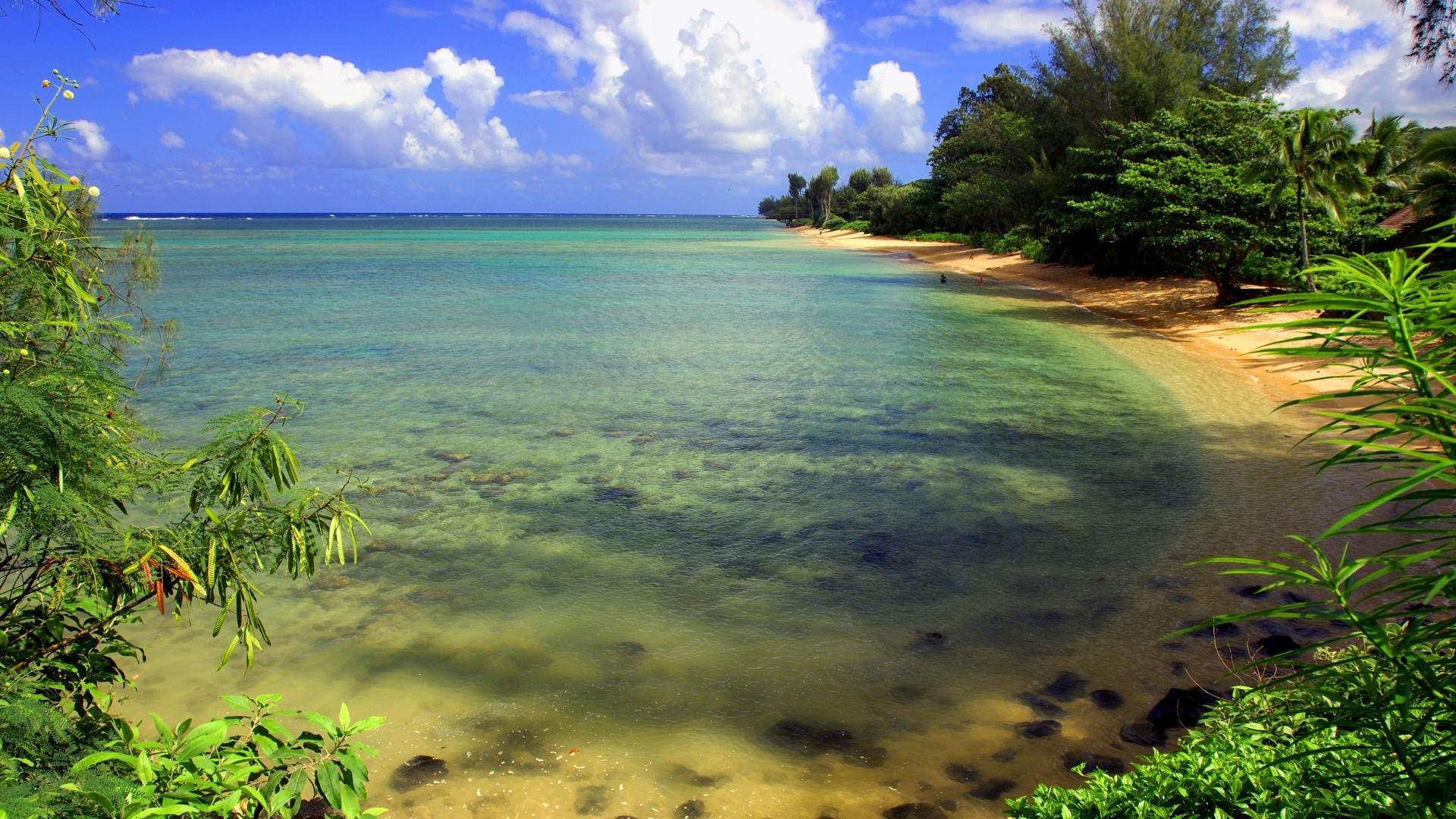 Spiaggia, Mare, Tropicale, Full HD, immagine di sfondo Windows 7