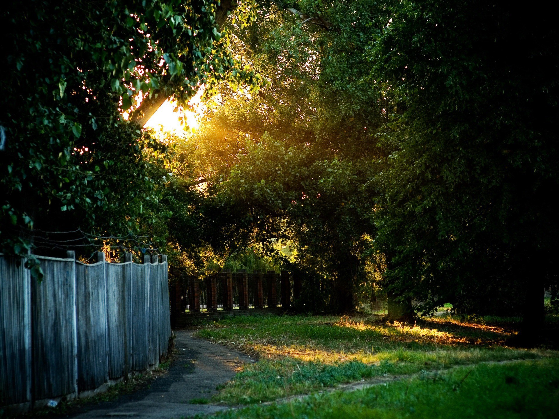 Raggi di sole, Giardino, Alberi, Steccato, Full HD, schermata di blocco iPad