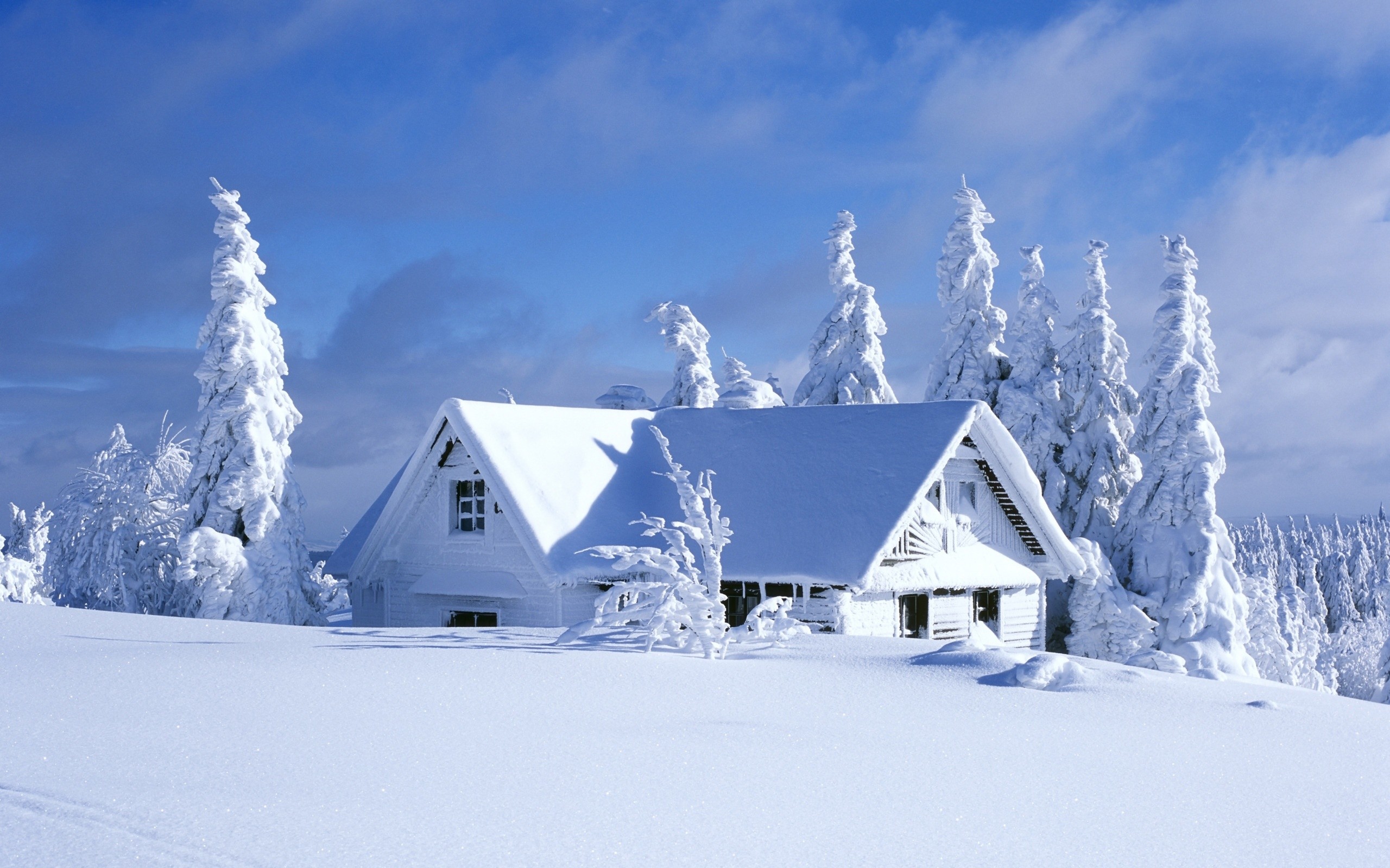 Casa innevata, Abeti, Neve alta, Cielo blu, 2K, sfondo per PC