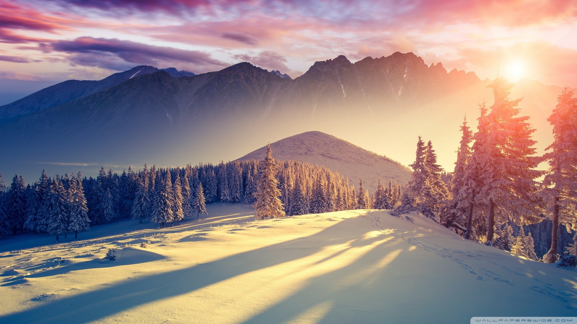 Monti Tatra, Tatra, Abeti innevati, Alba, Montagne, 1920x1080, sfondo per PC