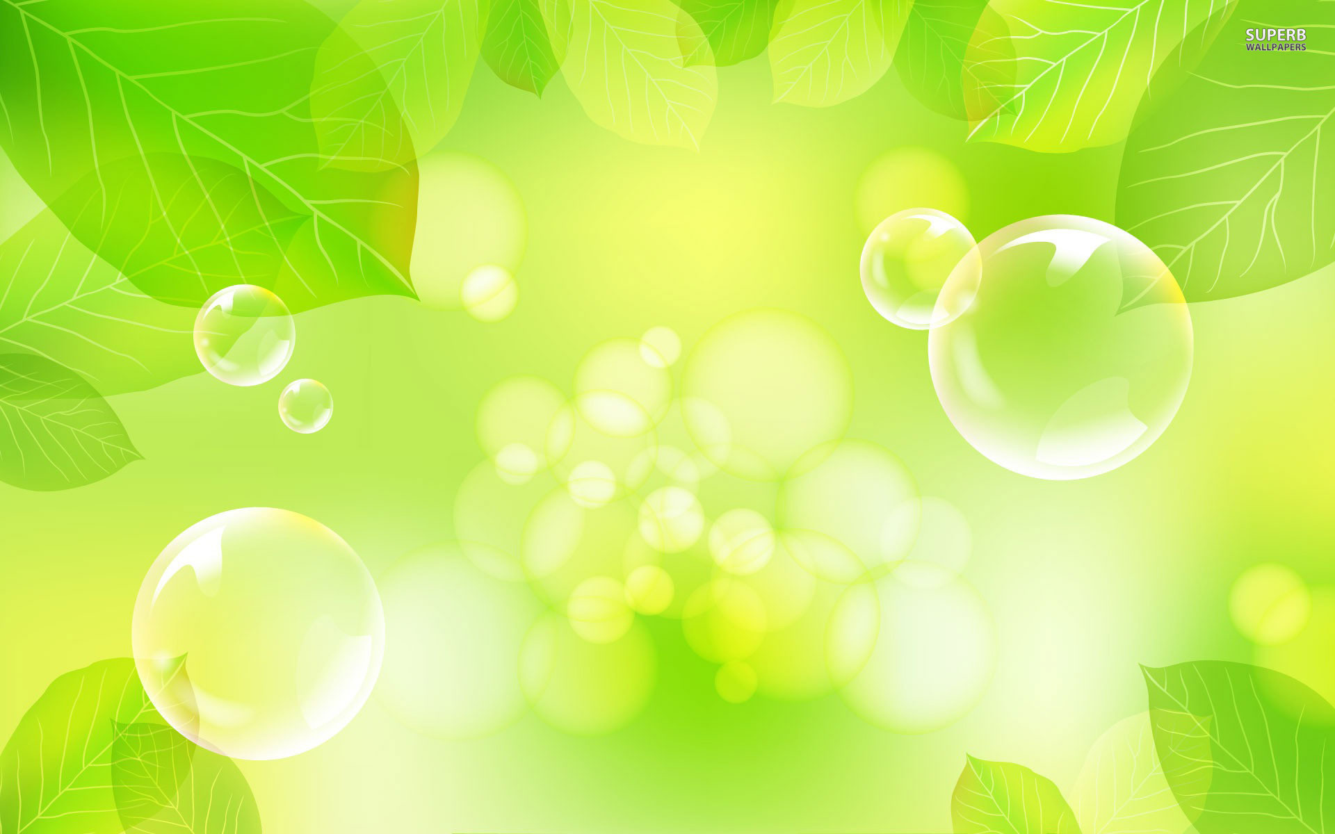 Foglie, Bolle, Bokeh, Verde chiaro, Full HD, wallpaper desktop