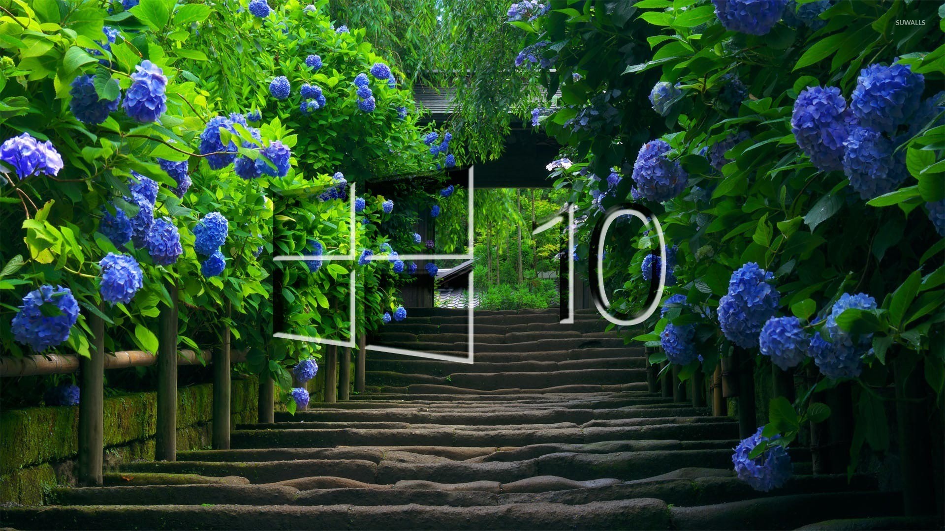 Windows 10, Logo Windows, Ortensie, Scalinata, 16:9 Full HD, sfondo widescreen