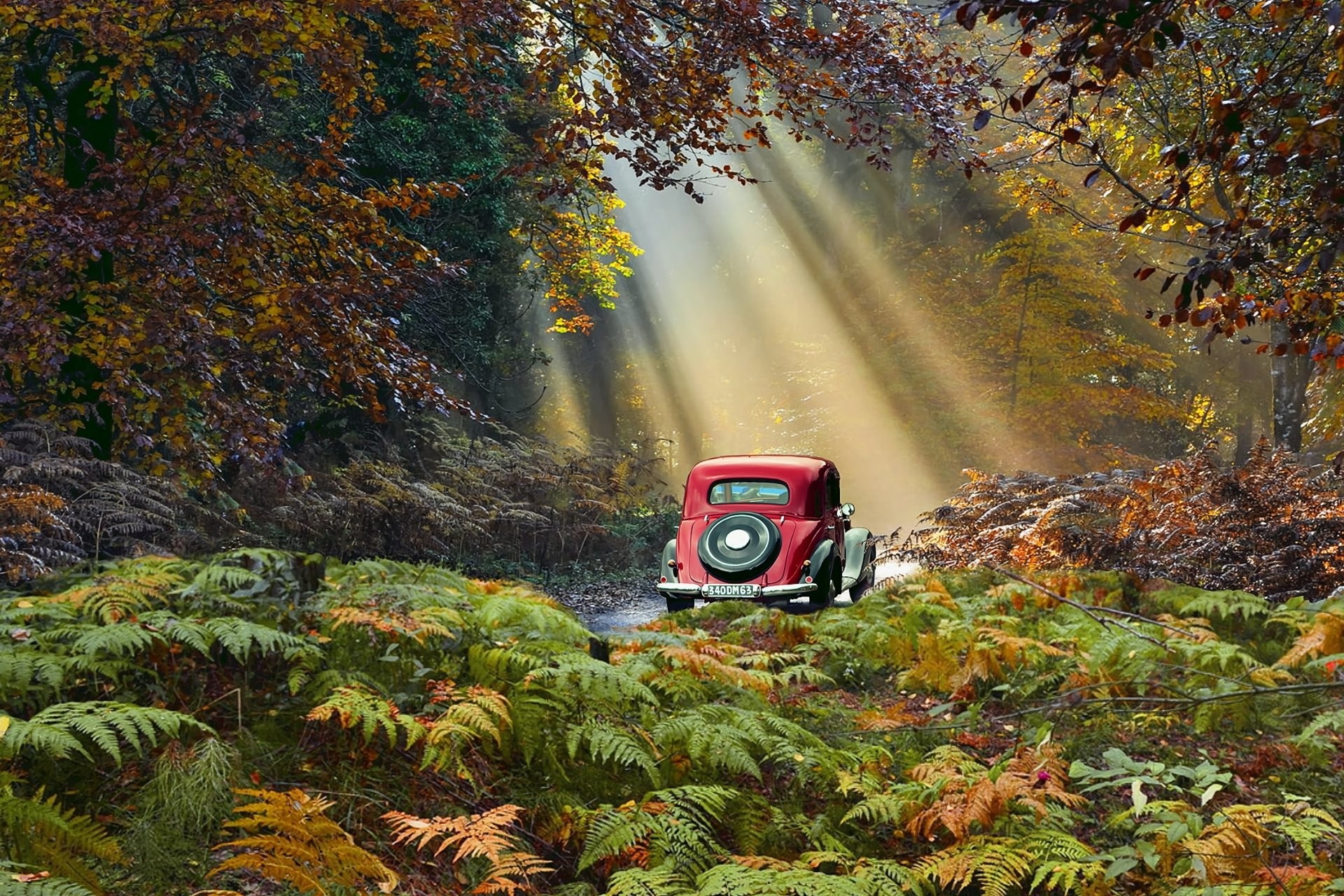Auto d'epoca, Foresta, Raggi di sole, Felci, Full HD, sfondo per PC e portatile