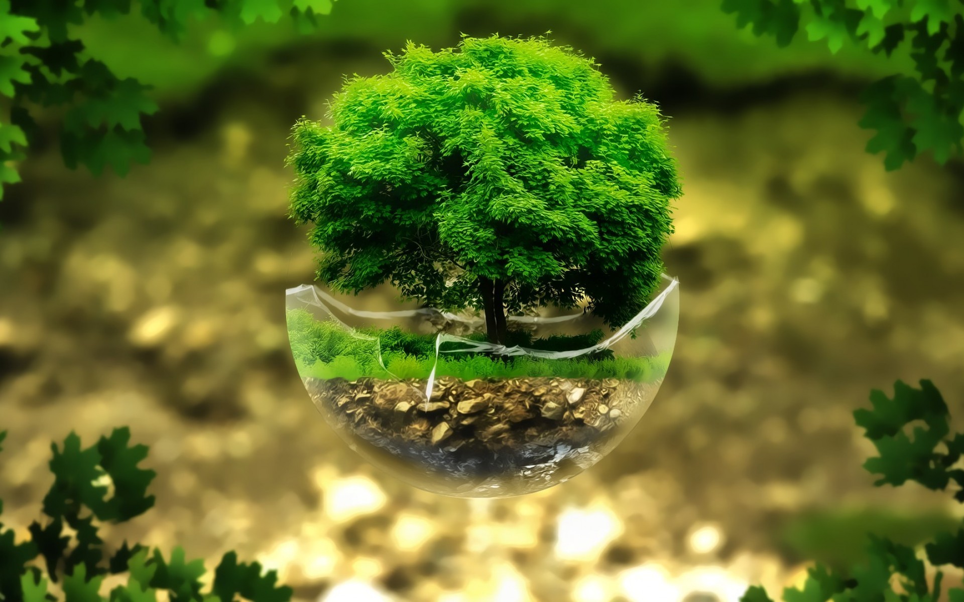 Albero in miniatura, Sfera di vetro, Bokeh, Arte digitale, 1920x1200, wallpaper desktop