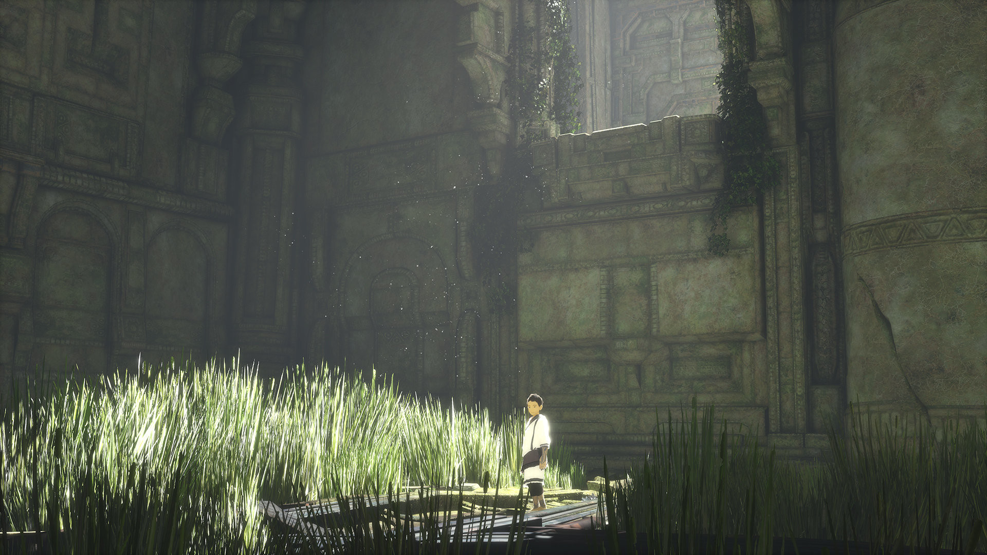 The Last Guardian, Ragazzo, Erba alta, Rovine, Full HD 1080p, sfondo desktop