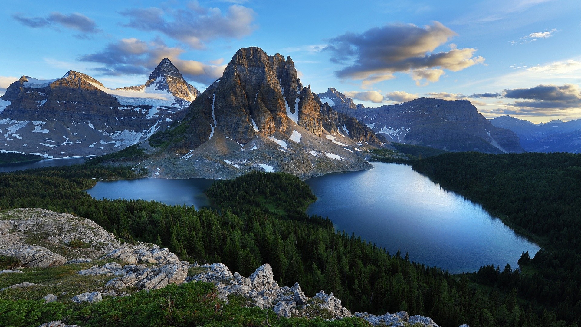 Monte Assiniboine, Canada, Lago di montagna, Foresta, 16:9 Full HD, sfondo widescreen