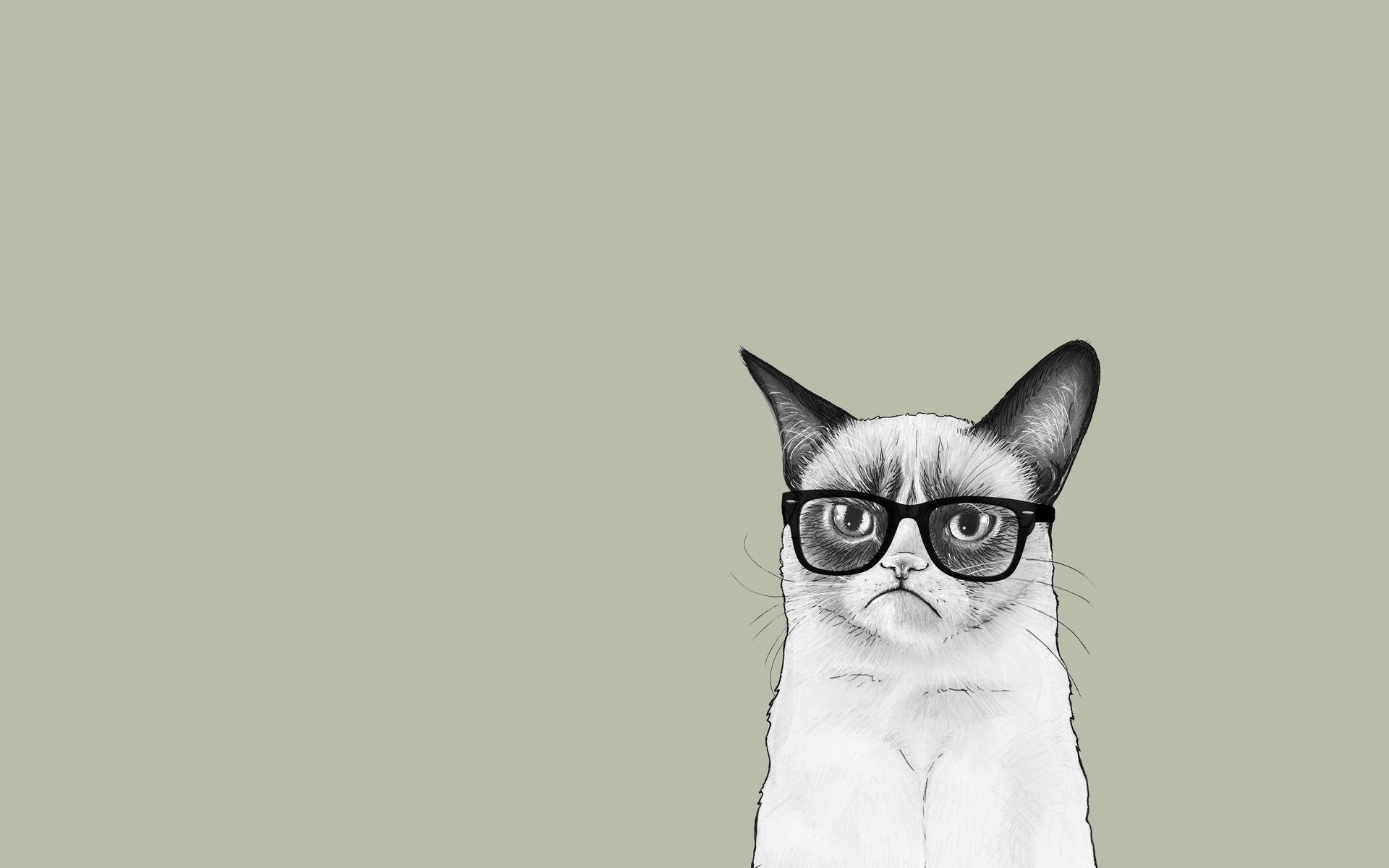 Grumpy Cat, Occhiali, Illustrazione, Sfondo grigio, Full HD, wallpaper desktop