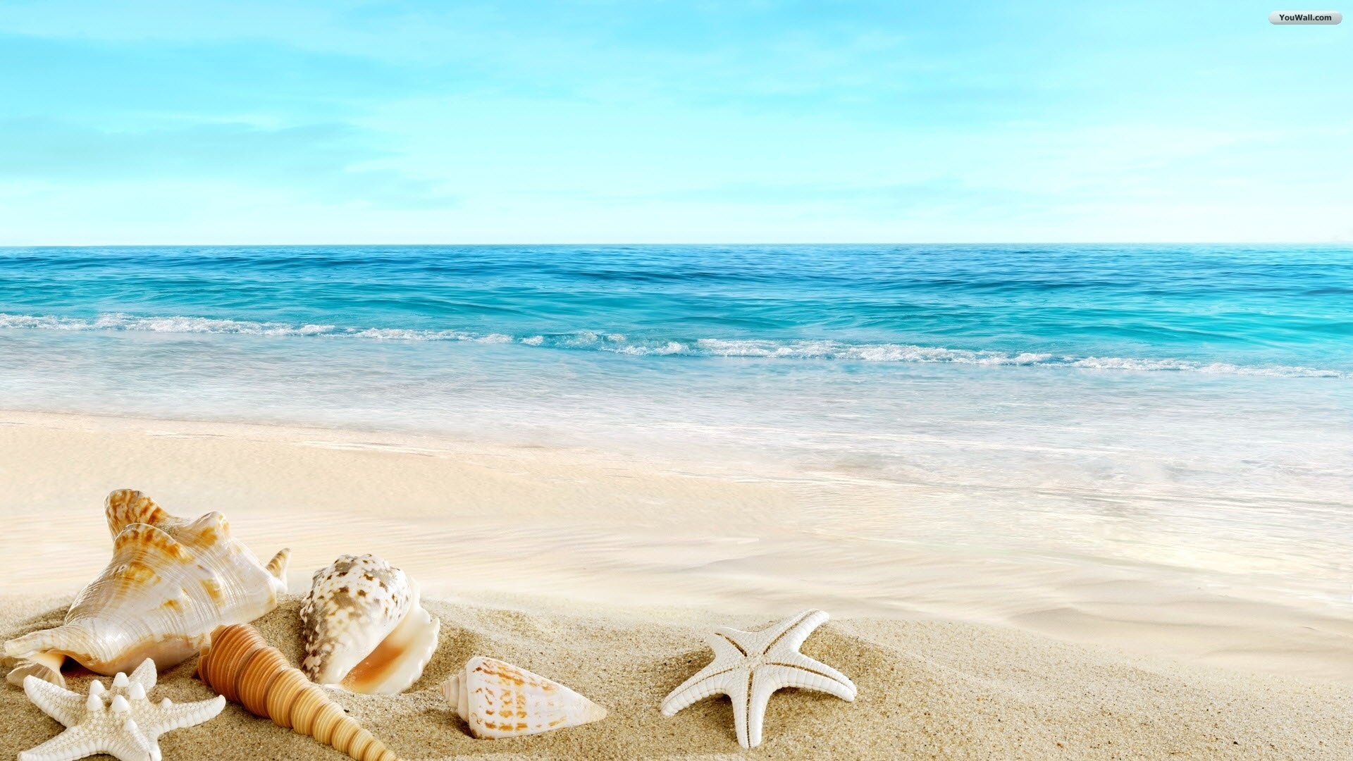 Conchiglie, Stelle marine, Sabbia bianca, Mare, Full HD, sfondo per PC e portatile