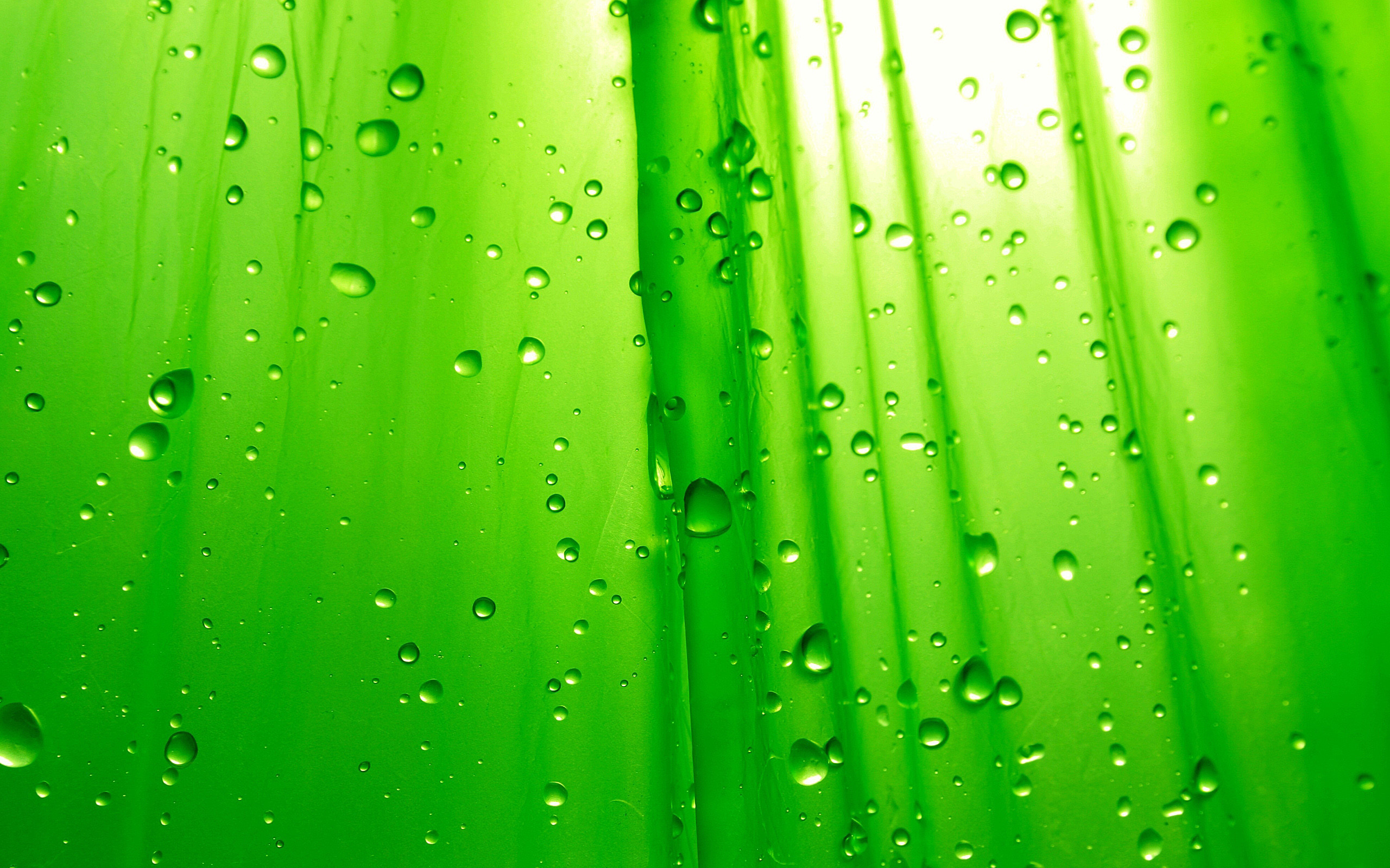 Gocce d'acqua, Raggi di luce, Verde, 2K 1600p, sfondo desktop