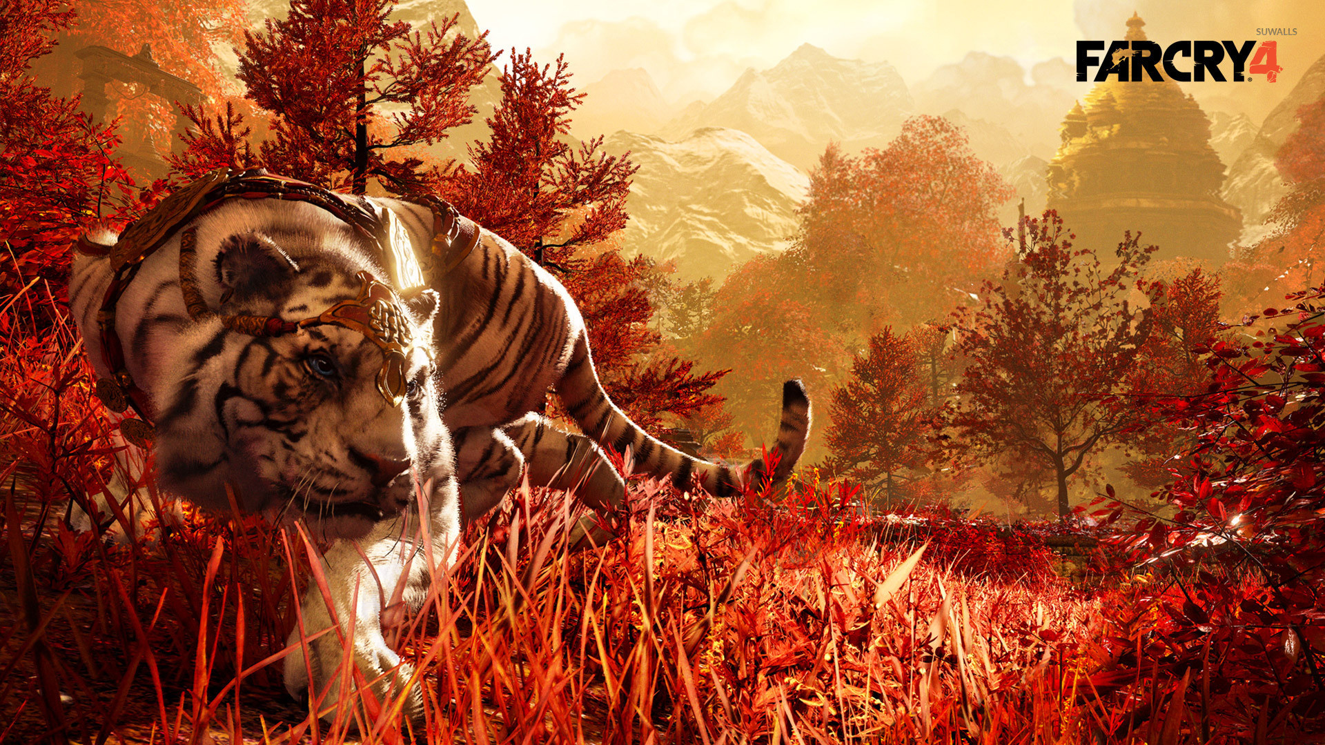 Far Cry 4, Tigre, Shangri-La, Logo, Full HD, sfondo per portatile