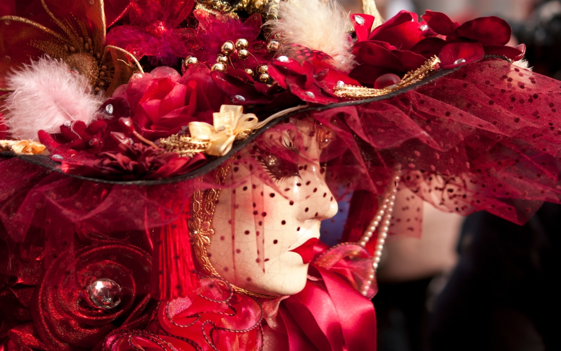 Maschera veneziana, Cappello rosso, Velo, Rose, 1920x1200, wallpaper desktop