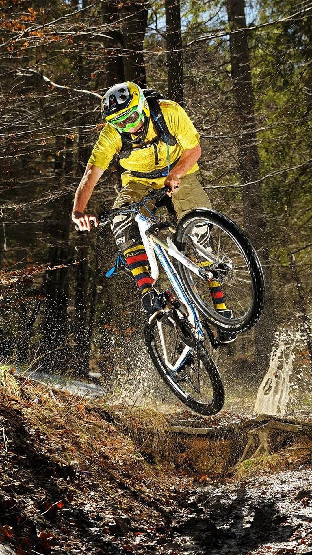 Mountain bike, Ciclista, Salto, Bosco, Full HD, sfondo per smartphone