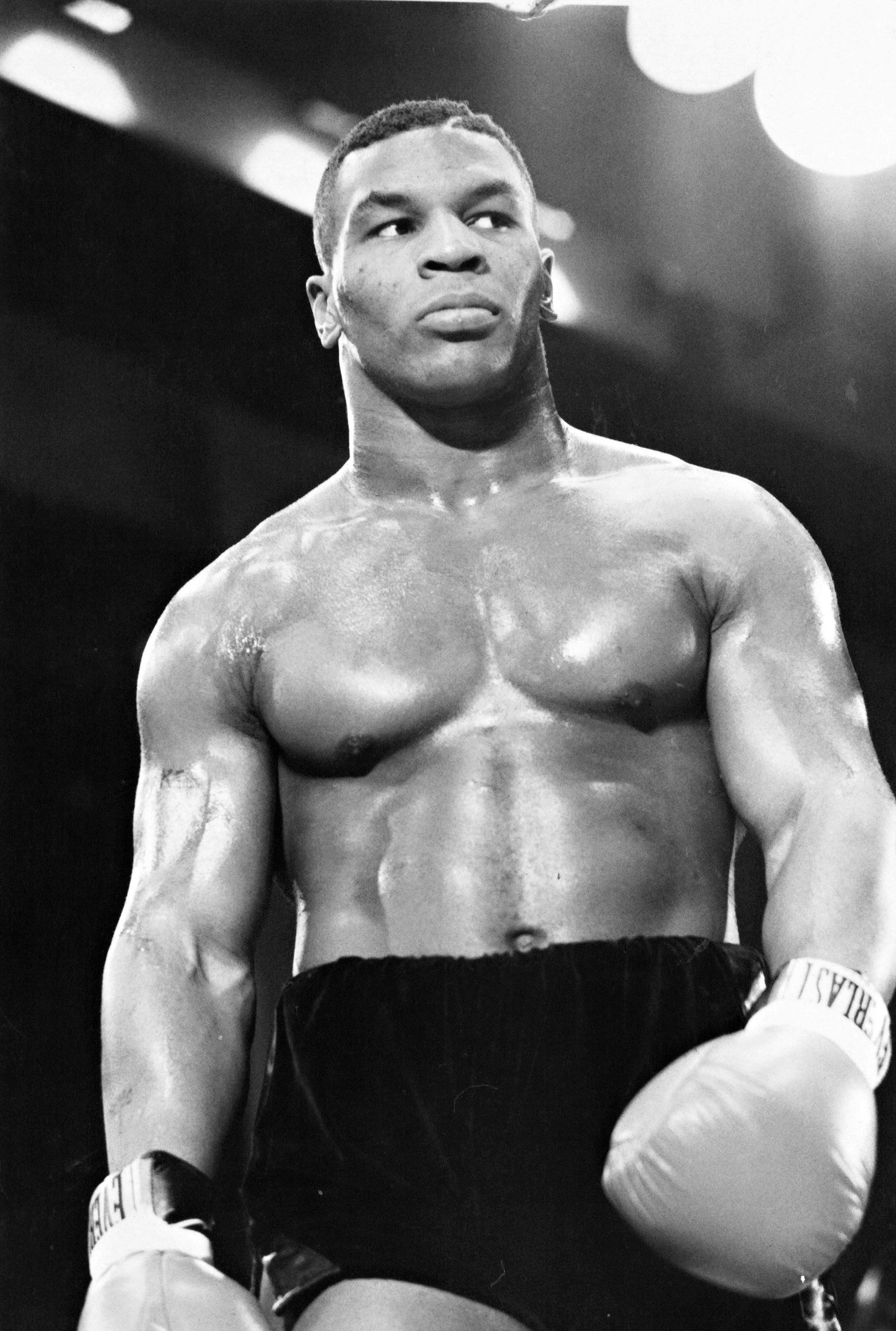 Mike Tyson, Pugile, Bianco e nero, Ritratto, Guantoni, sfondo per iPad e tablet
