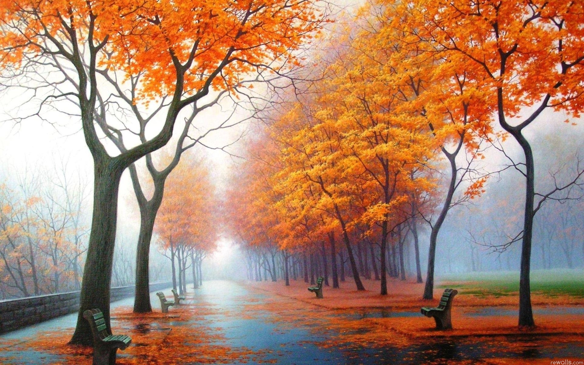 Viale alberato, Parco, Nebbia, Panchine, 16:10 Full HD, wallpaper widescreen