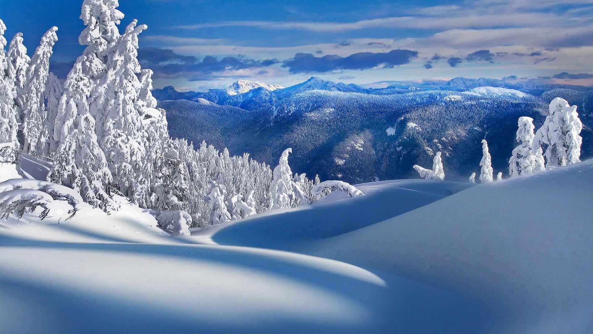 Abeti innevati, Montagne, Cumuli di neve, Panorama, Full HD, wallpaper per PC