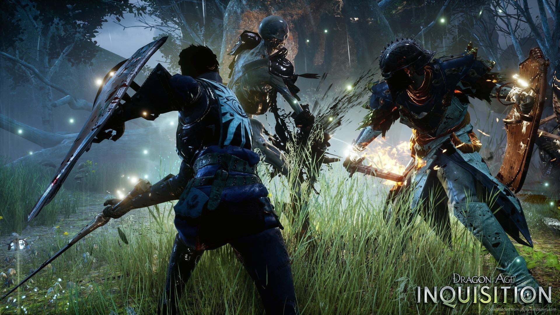 Dragon Age: Inquisition, Combattimento, Notte, Prato, Full HD, sfondo desktop