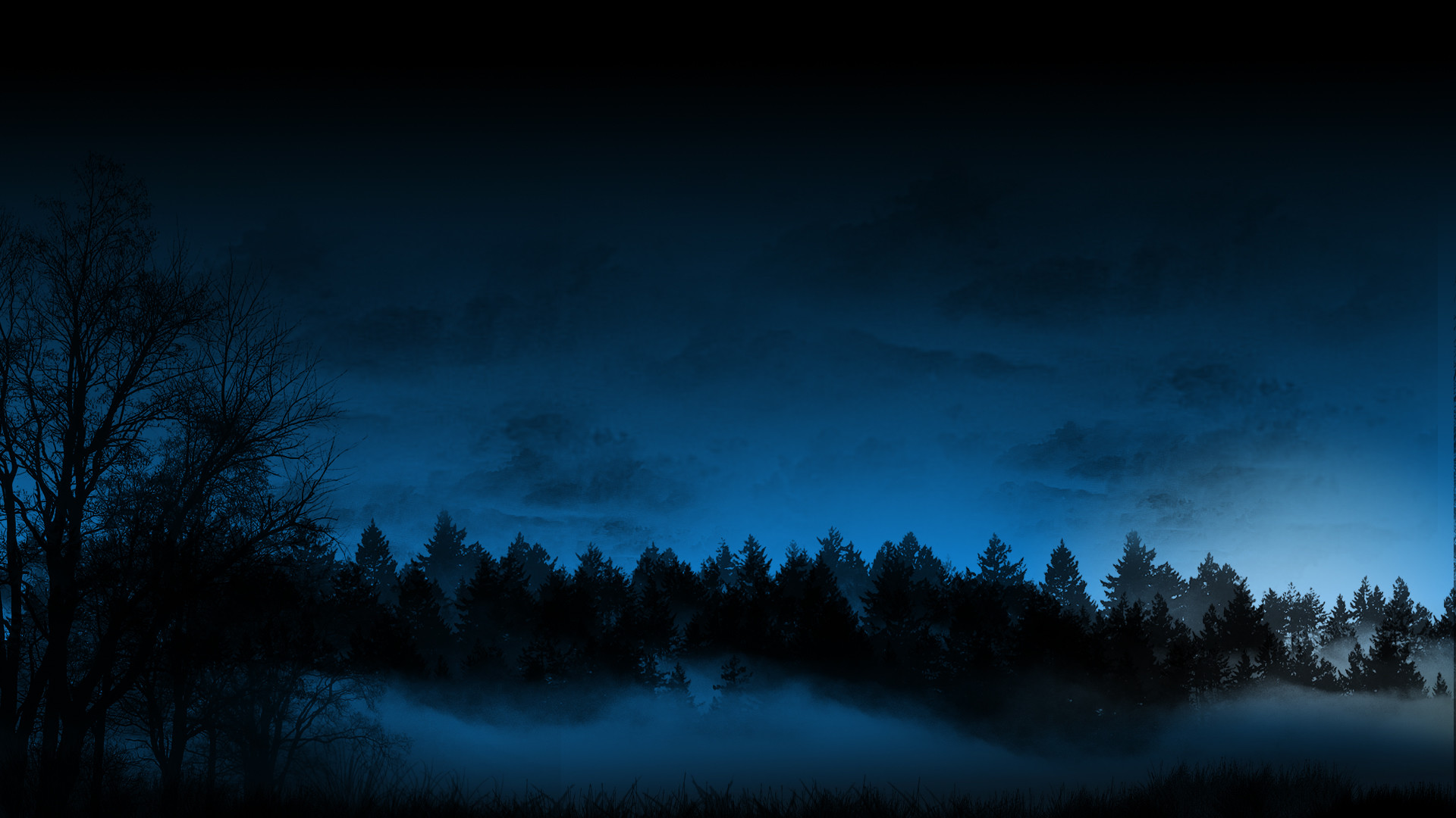 Foresta al crepuscolo, Nebbia, Cielo blu, Silhouette, Full HD 1080p, sfondo desktop