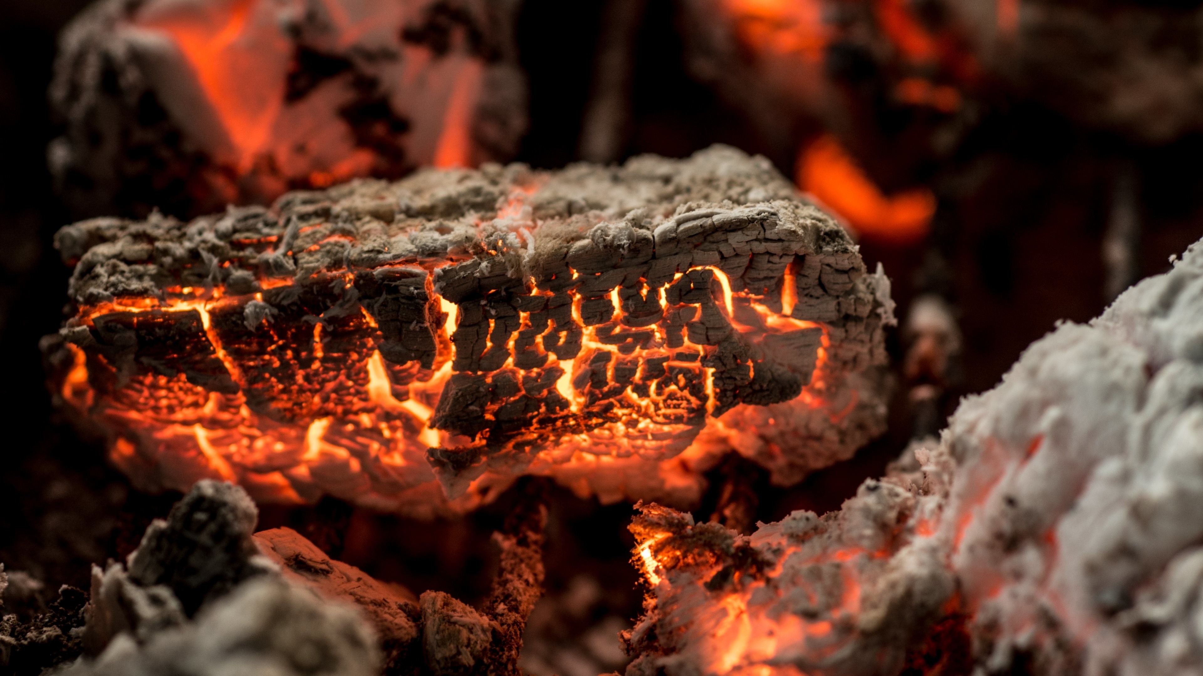 Brace, Legna ardente, Fuoco, Macro, sfondo 4K per desktop