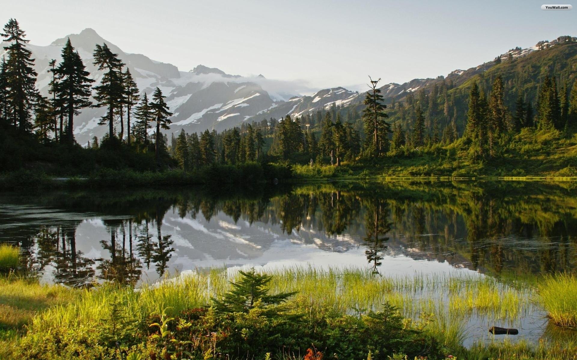 Lago, Montagne, Foresta, Riflesso, 16:10 Full HD, sfondo widescreen