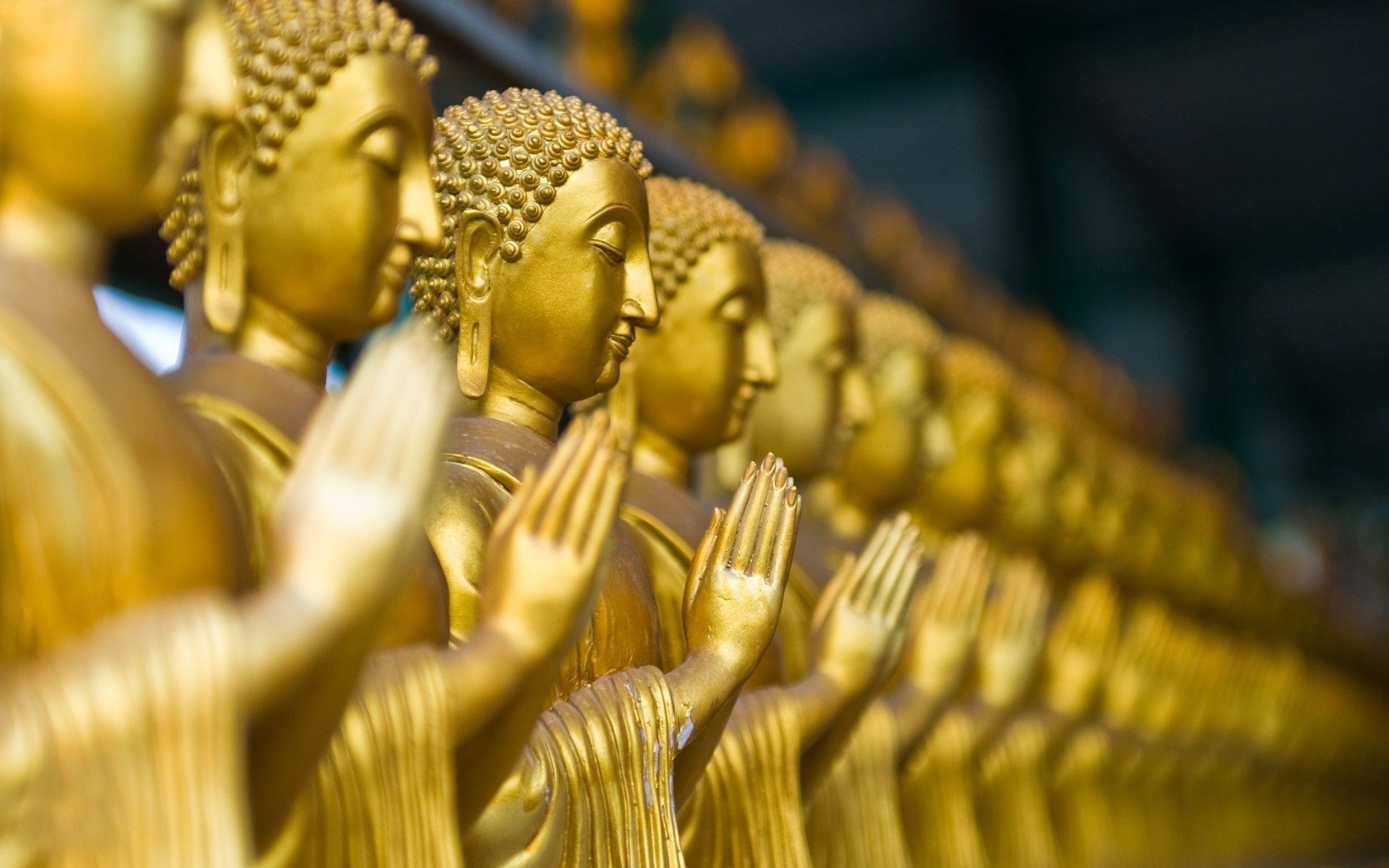 Statue di Buddha, Oro, Fila, Tempio, Full HD, sfondo desktop