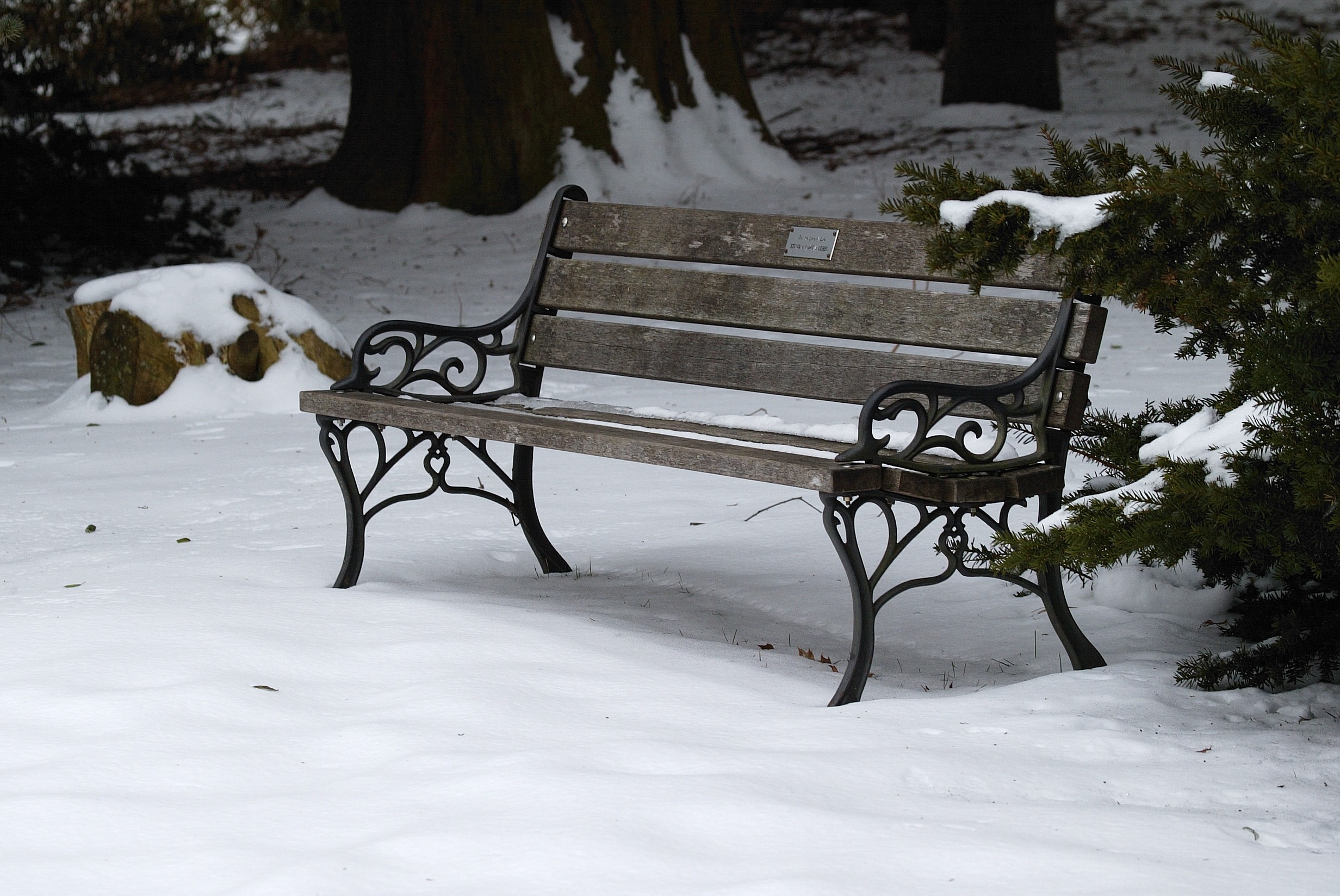 Panchina, Neve, Inverno, Solitudine, Full HD, sfondo Windows 11