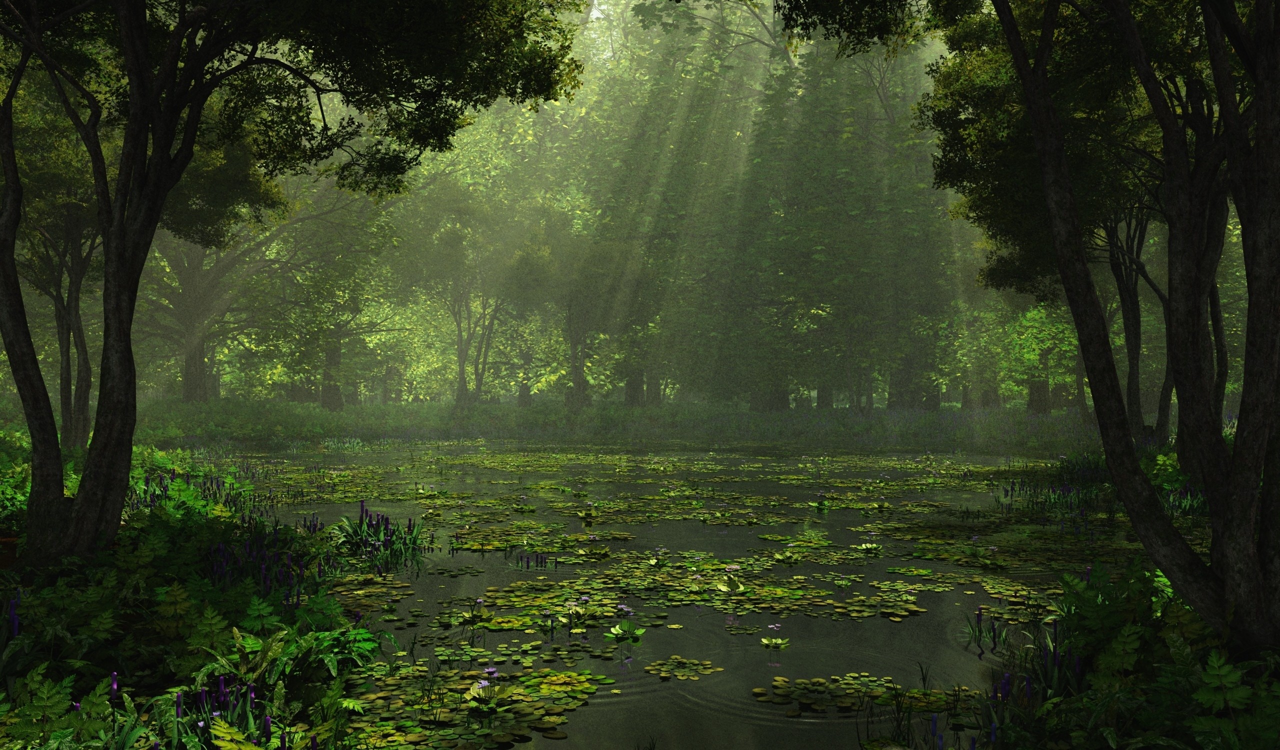 Pioggia, Foresta, Stagno, Verde, 2K, wallpaper per computer