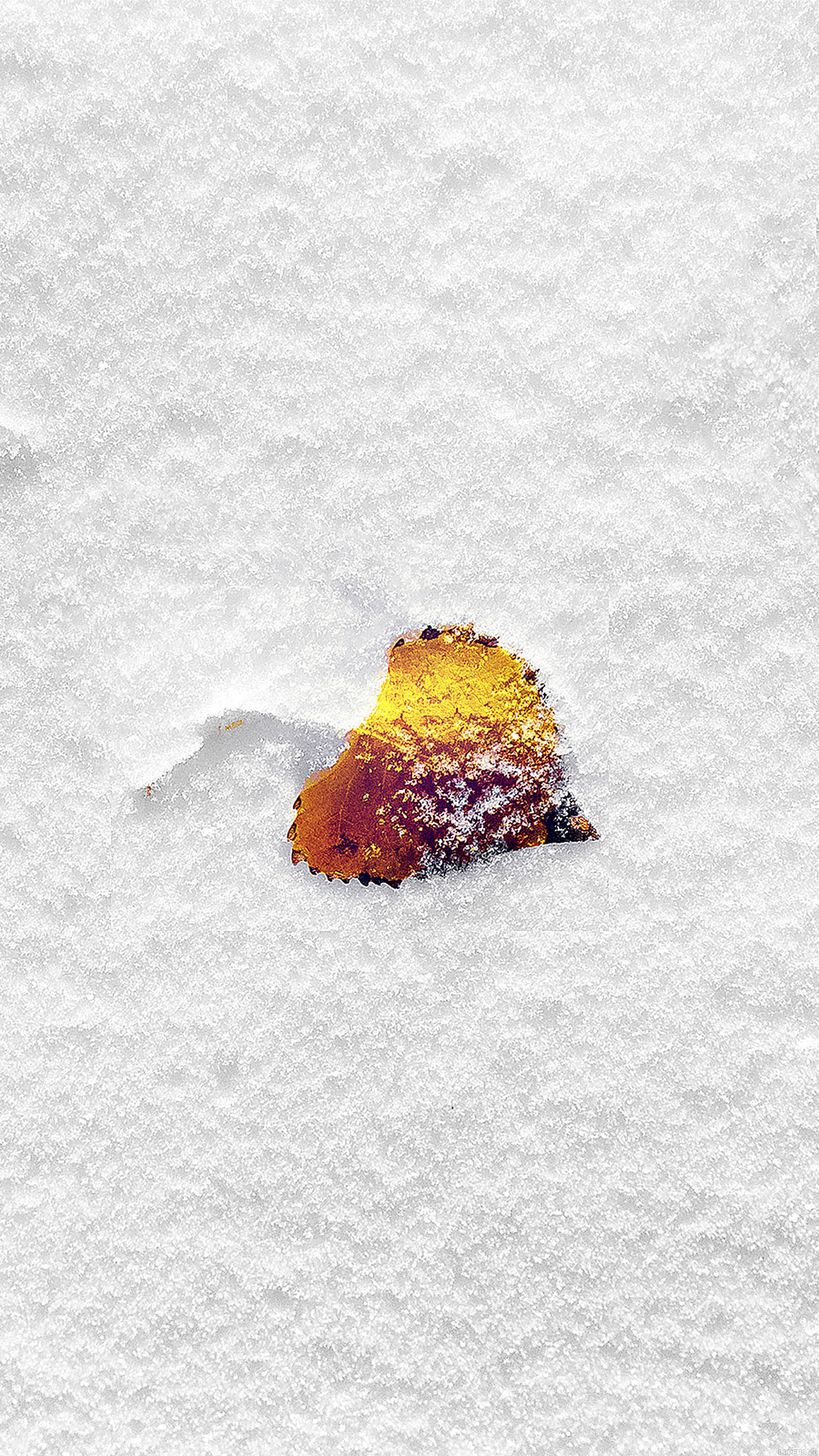 Foglia, Neve, Bianco, Minimalista, sfondo schermata di blocco iPhone 6