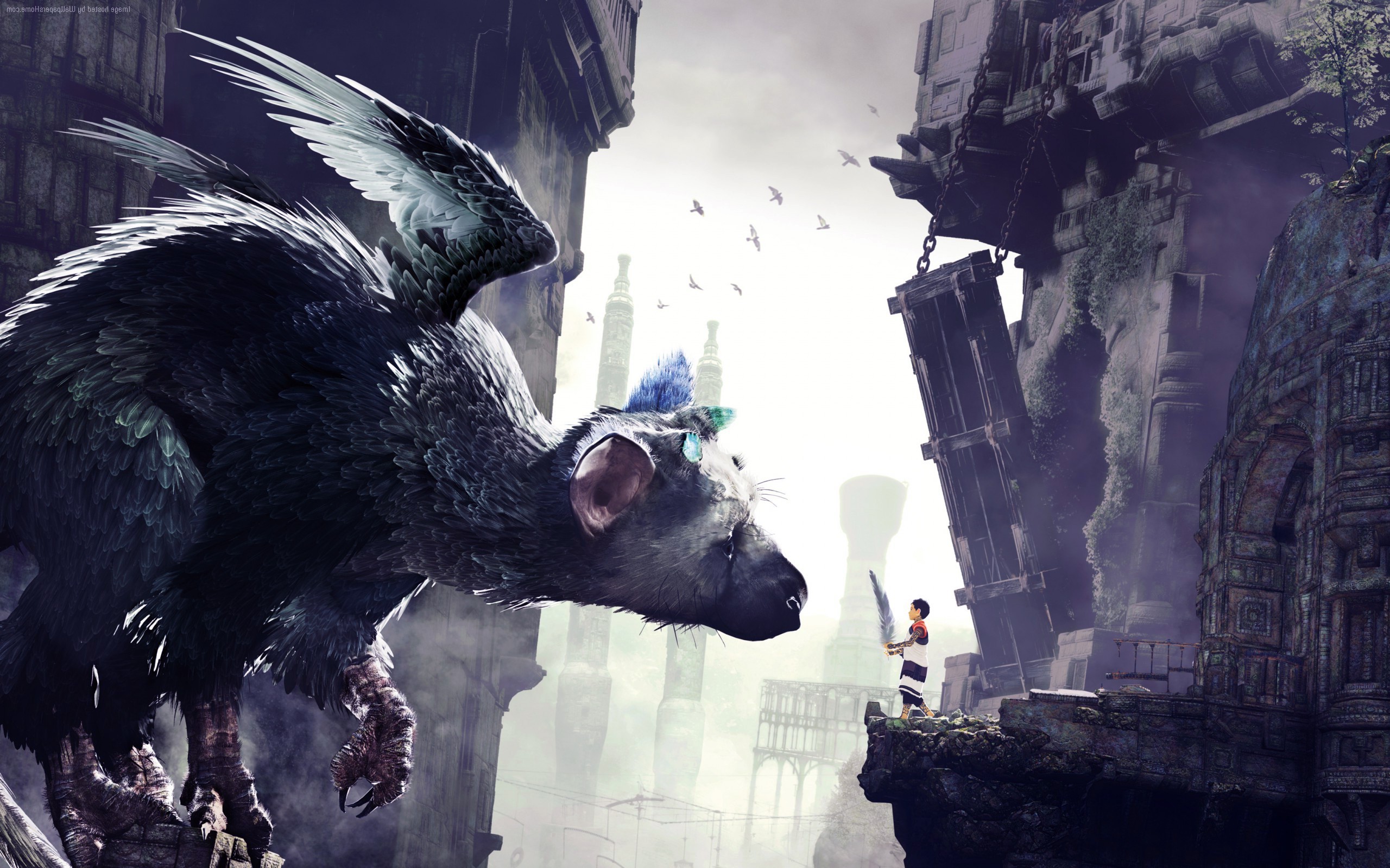 Trico, The Last Guardian, Ragazzo, Ali, Rovine, 2560x1600, sfondo MacBook Pro