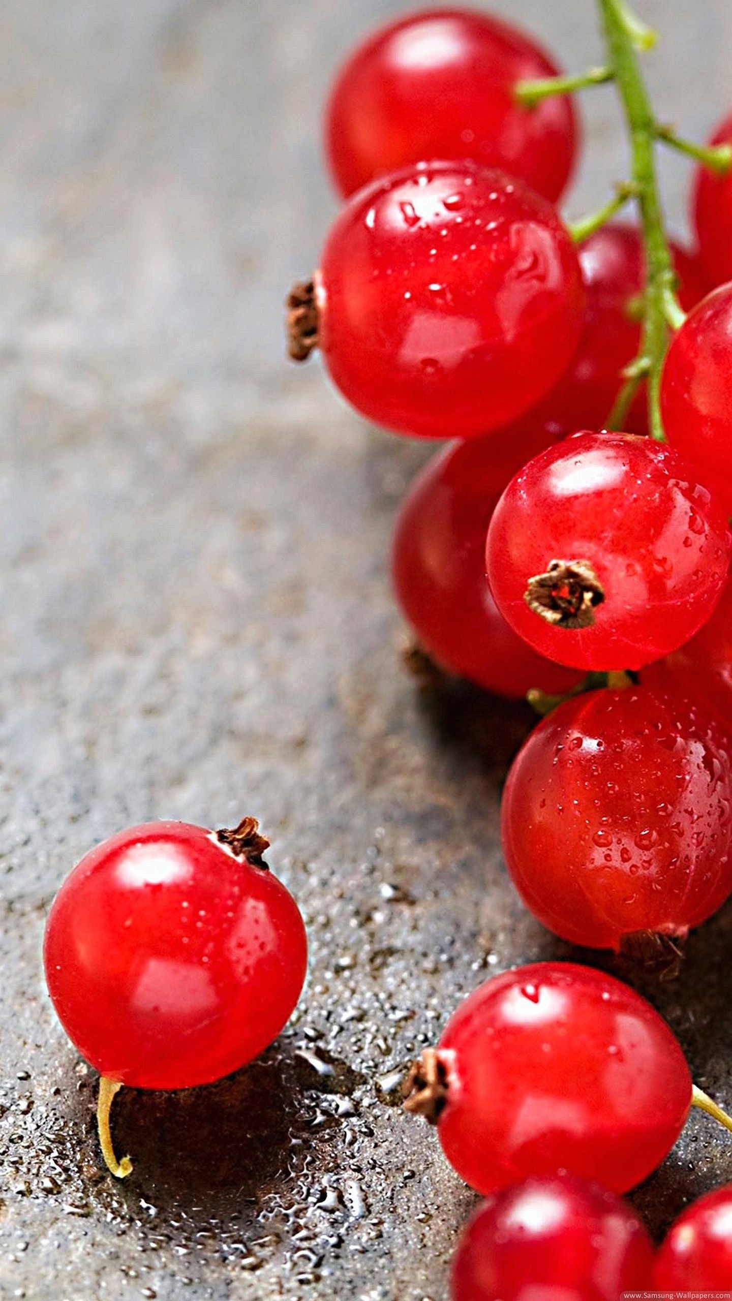 Ribes rosso, Frutti di bosco, Macro, Legno, Rosso, sfondo per LG G3