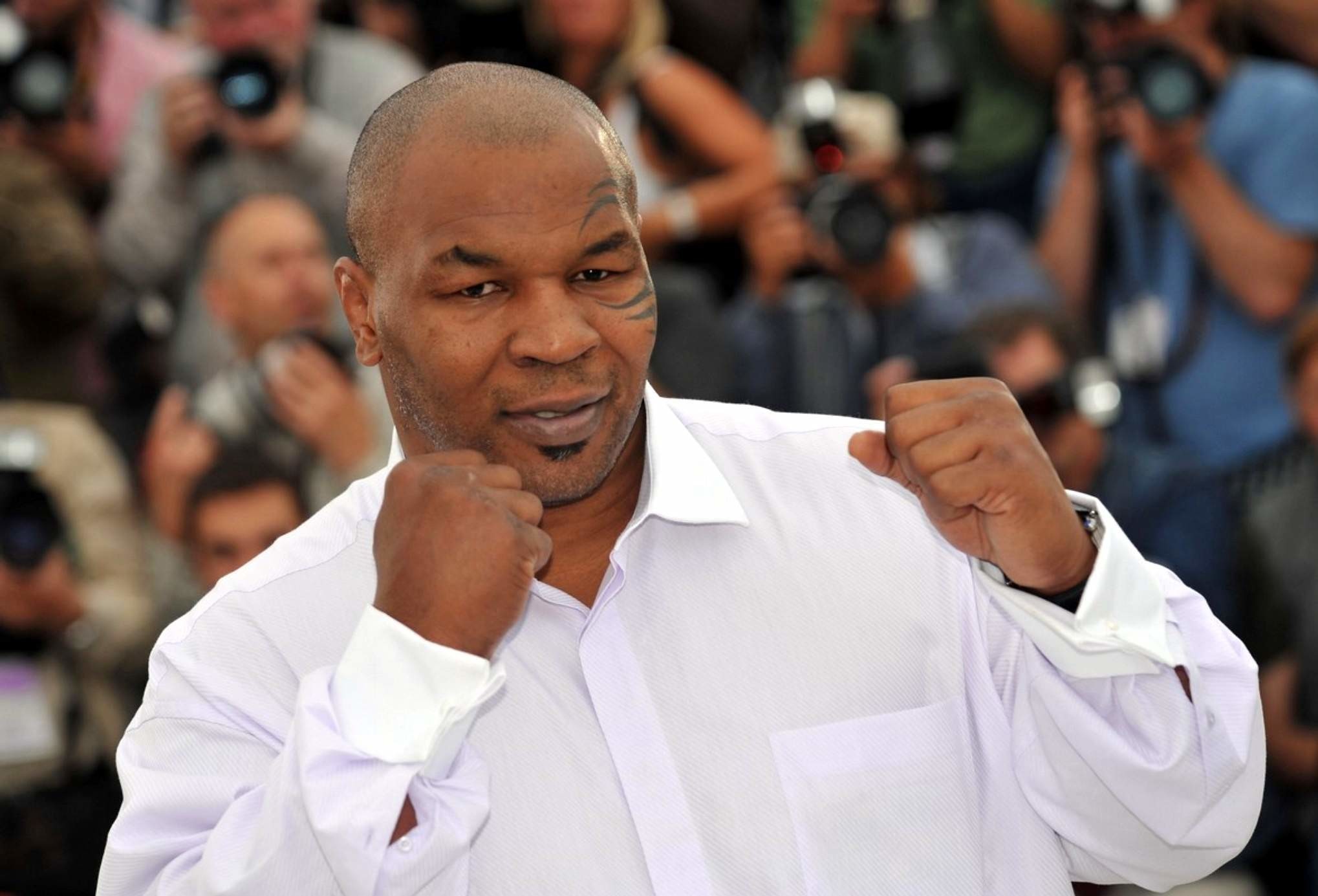 Mike Tyson, Camicia bianca, Fotografi, Guardia da boxe, Full HD, sfondo per portatile