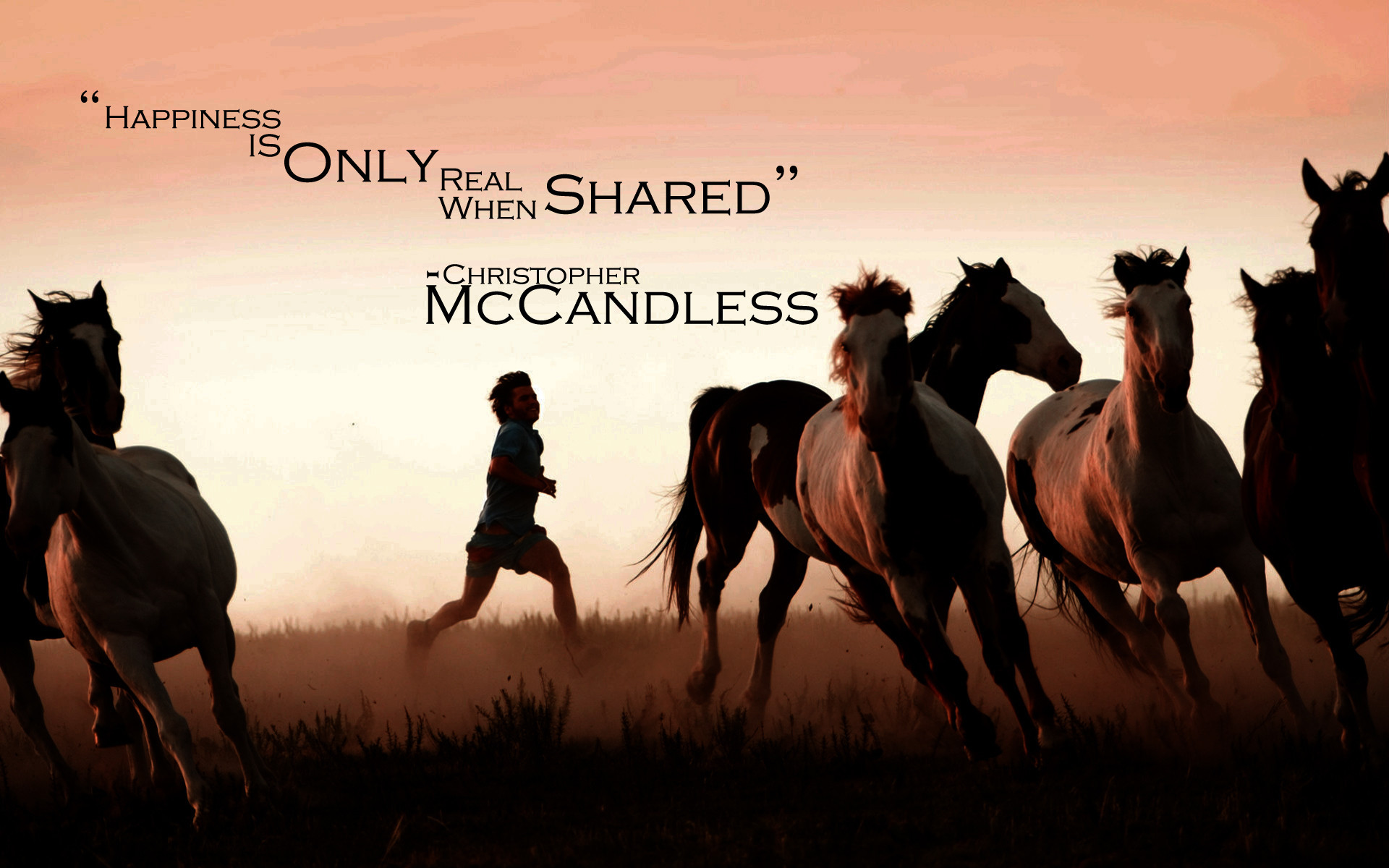Christopher McCandless, Into the Wild - Nelle terre selvagge, Citazione, Cavalli, Tramonto, sfondo per PC