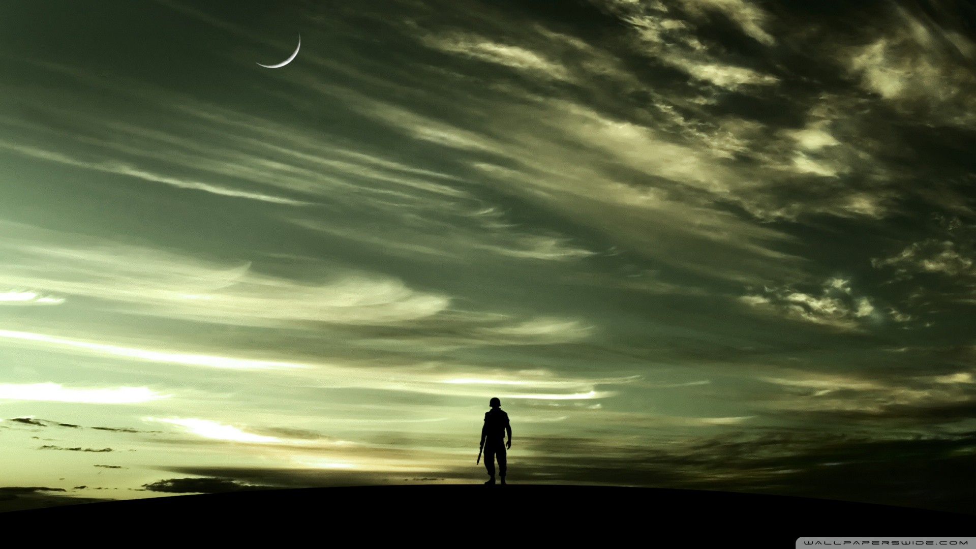 Silhouette, Cielo verde, Luna, Orizzonte, 16:9 Full HD, sfondo widescreen