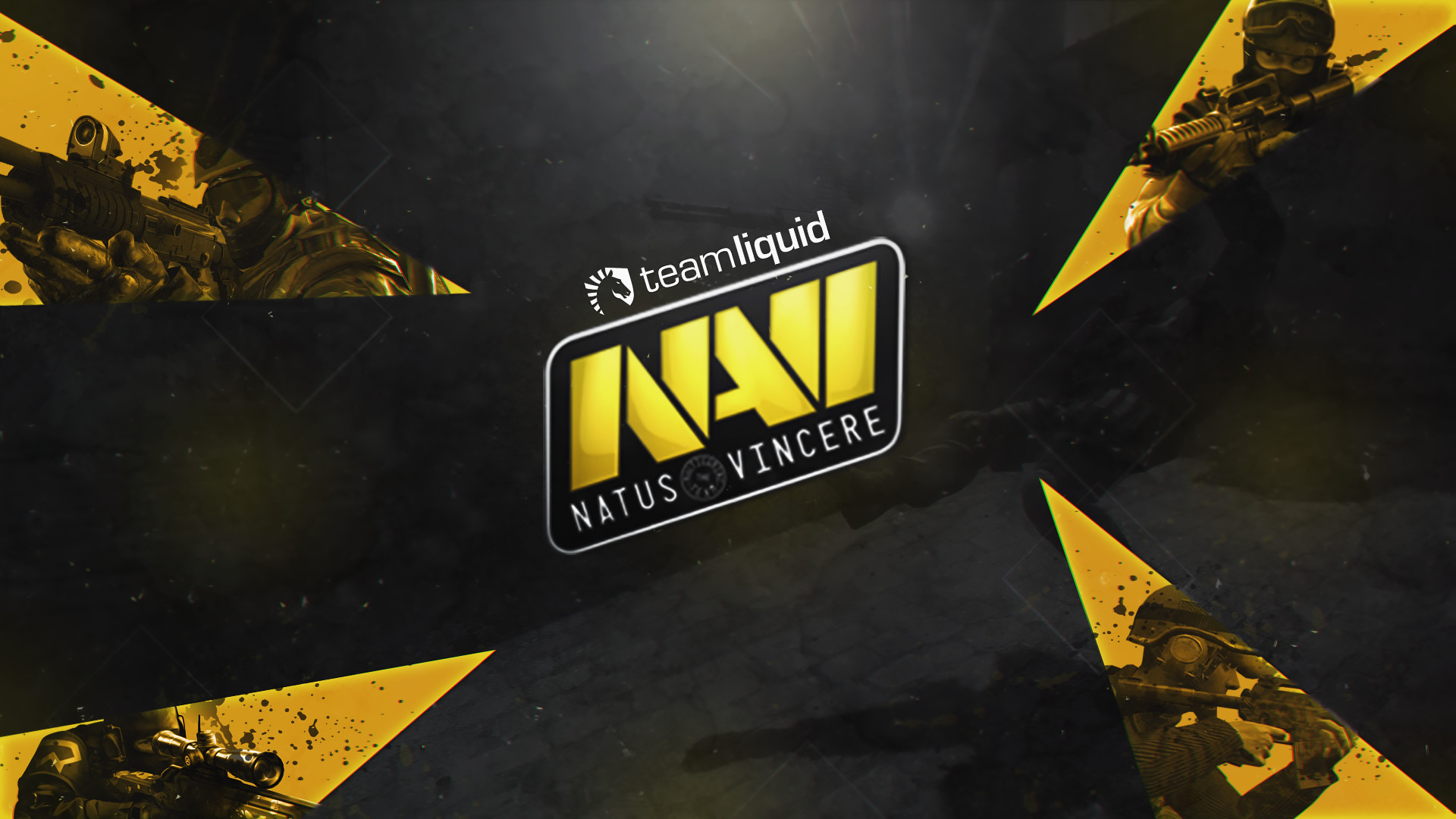 Natus Vincere, NaVi, Team Liquid, CS:GO, Logo, Full HD, sfondo desktop