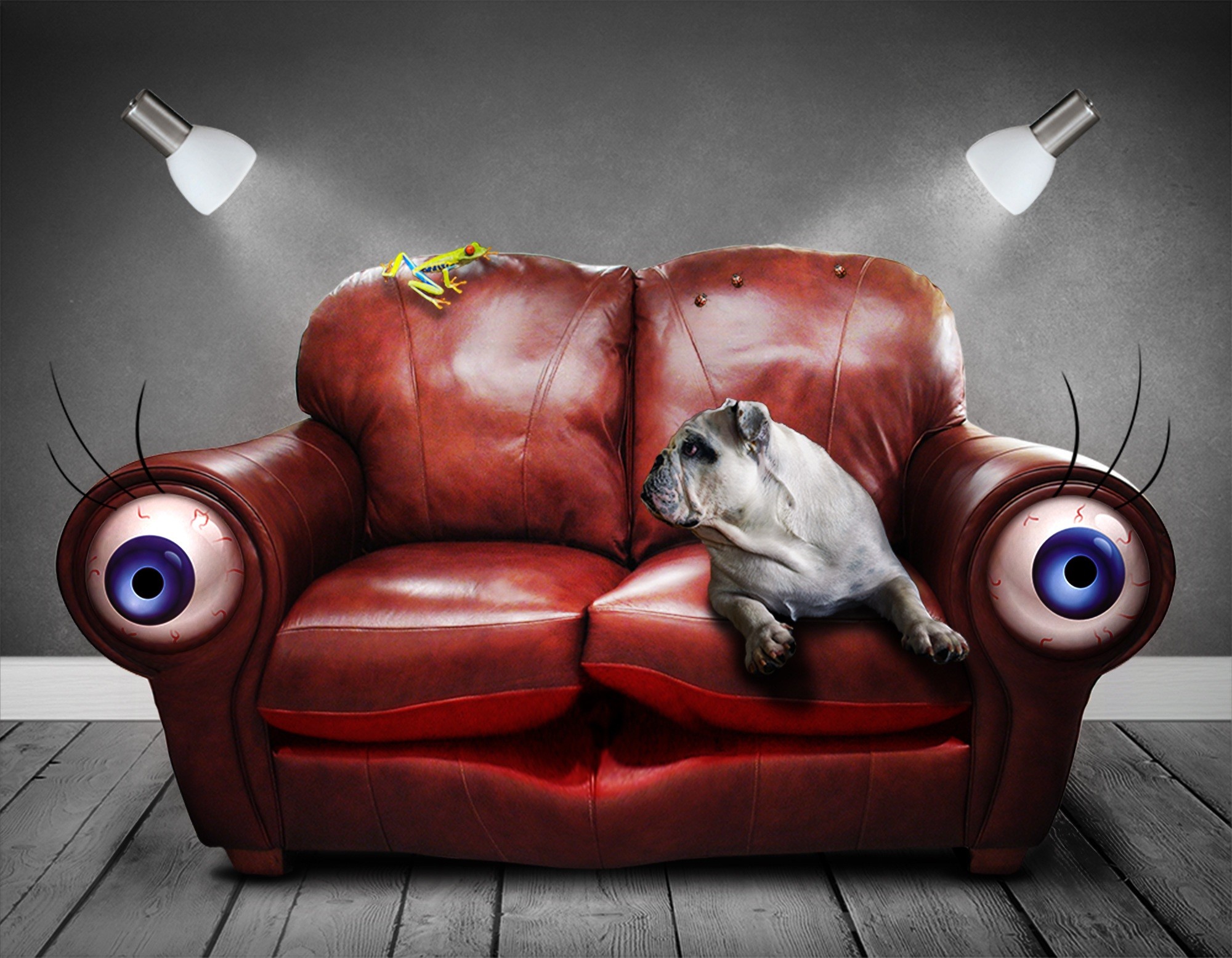 Poltrona con occhi, Bulldog, Surreale, Full HD, sfondo per PC