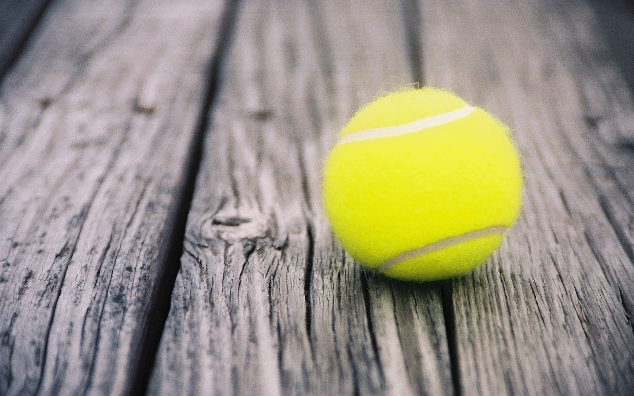 Pallina da tennis, Legno, Macro, 2K, sfondo Windows 11