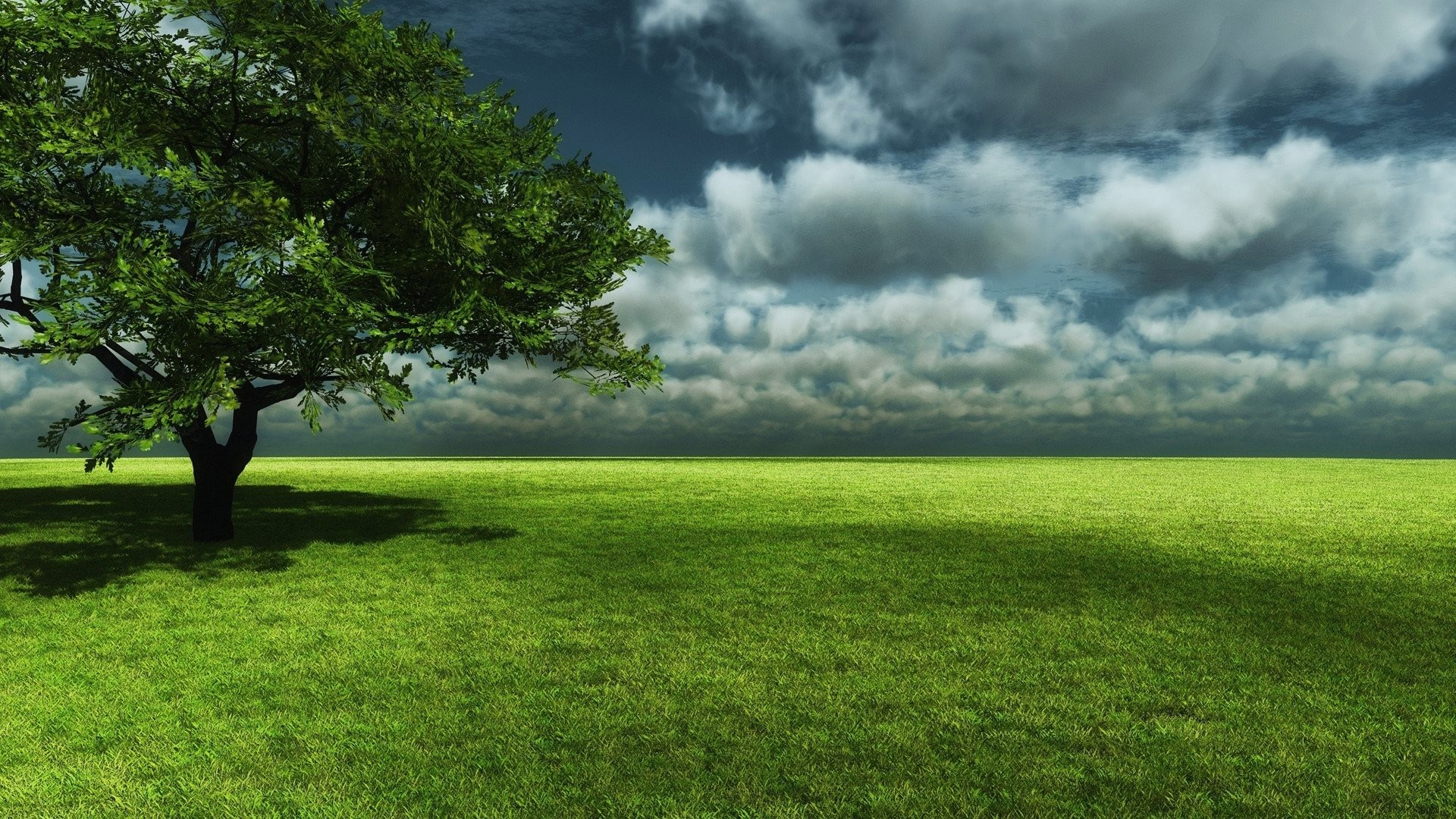 Albero, Prato, Nuvole, Verde, Full HD, sfondo Windows 11