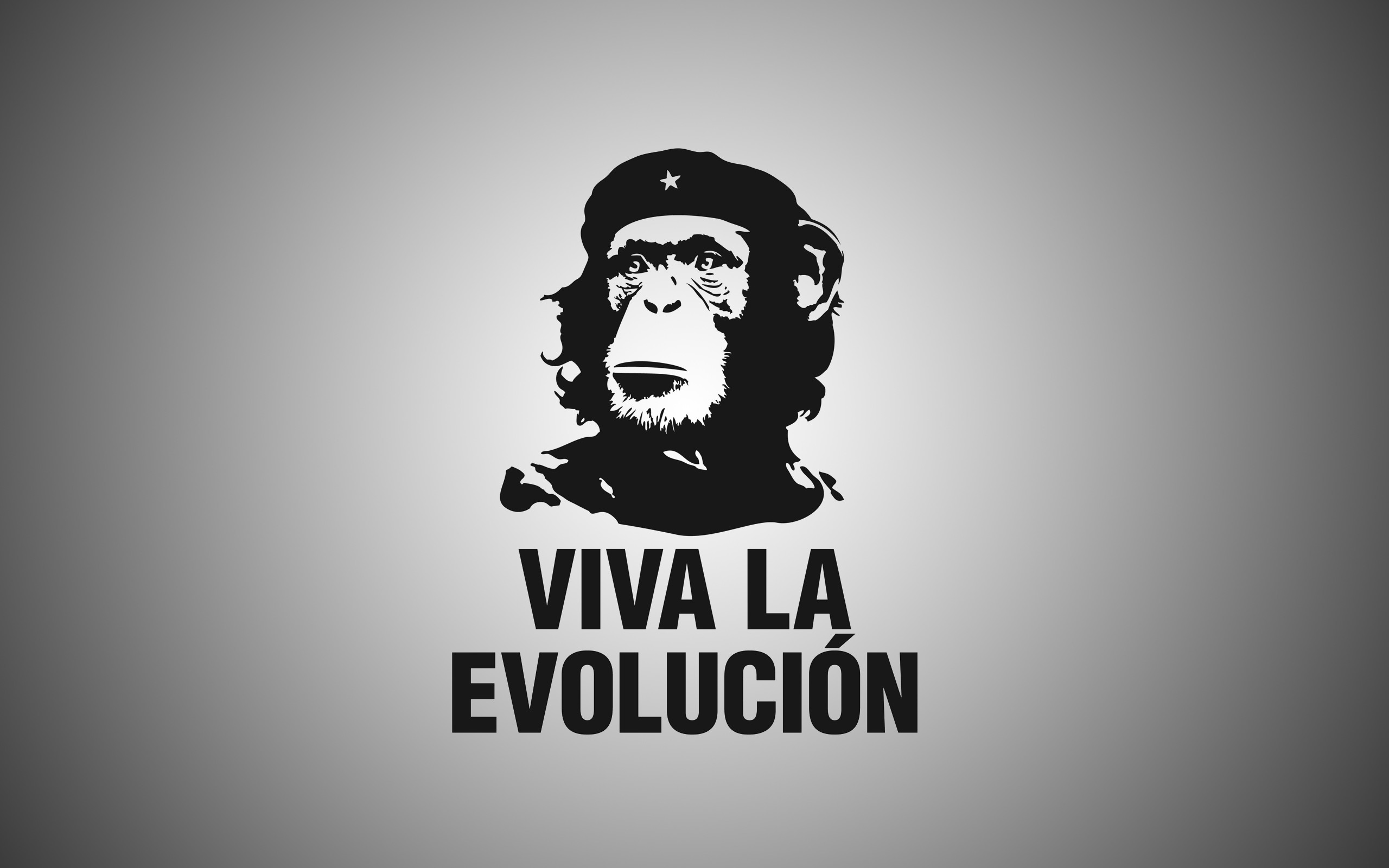 Scimpanzé, Che Guevara, Viva la Evolución, Parodia, Bianco e nero, sfondo 2K per portatile