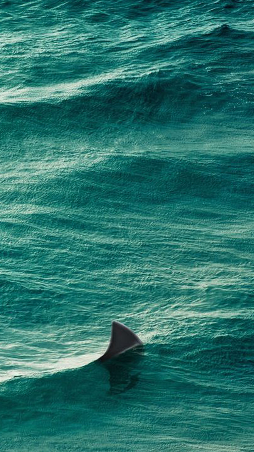 Pinna di squalo, Squalo, Mare, Onde, Verde acqua, Full HD, sfondo iPhone