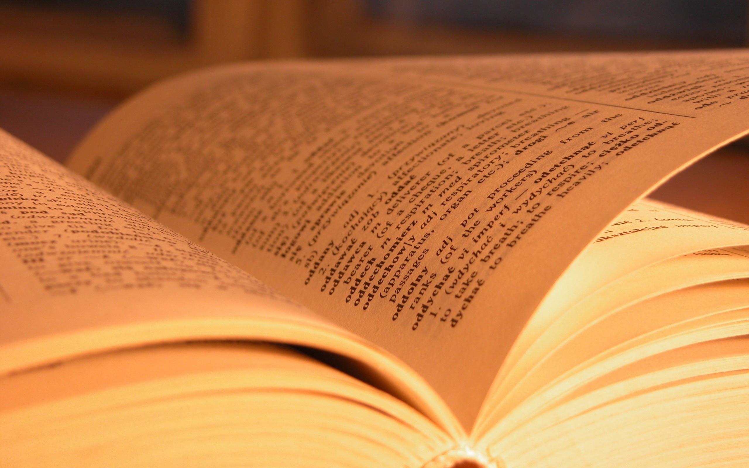 Libro aperto, Pagine, Luce calda, 2K, sfondo desktop