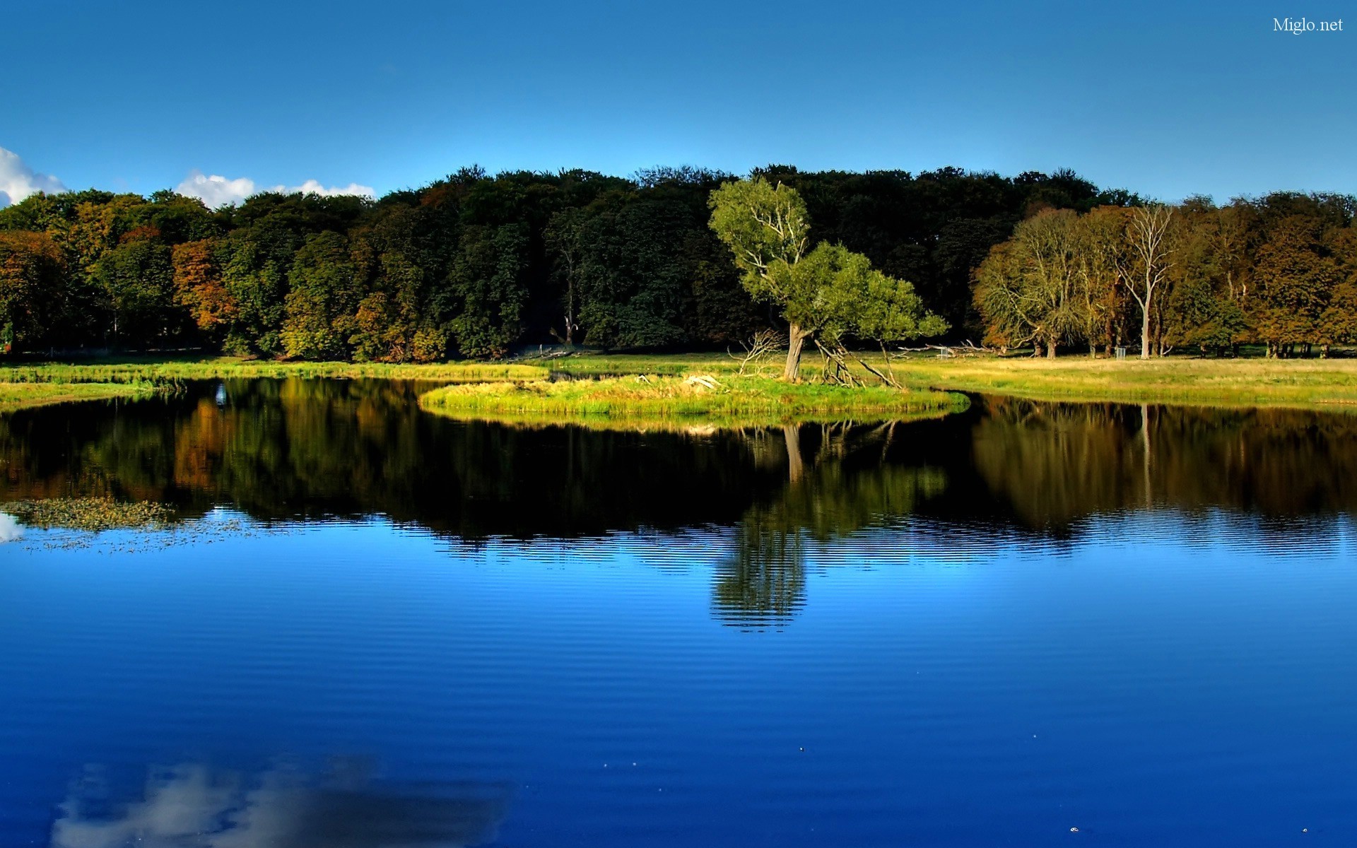 Lago, Bosco, Riflesso, Cielo blu, Full HD, wallpaper per portatile