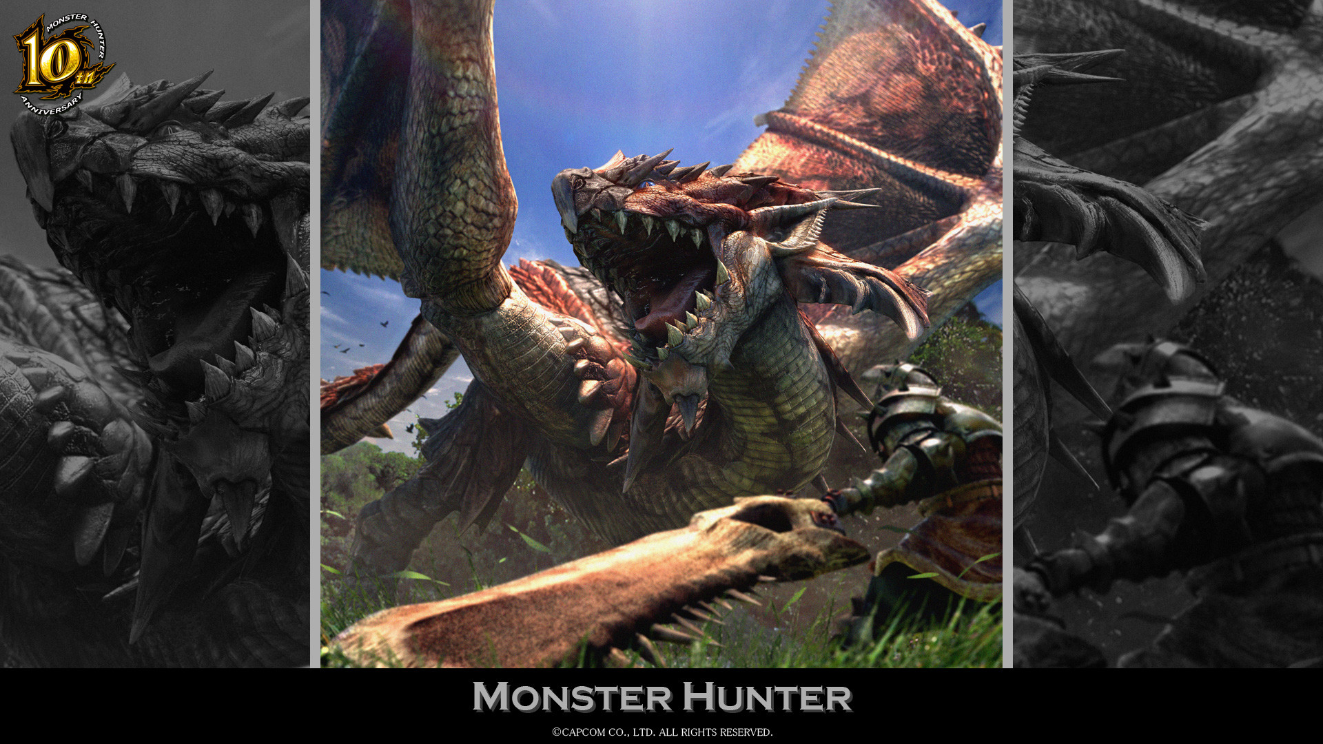 Monster Hunter, Rathalos, Logo, Bianco e nero, Full HD 1080p, sfondo desktop